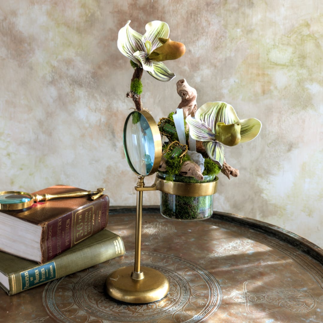 Orchid arrangement in a glass container with a brass magnifying stand