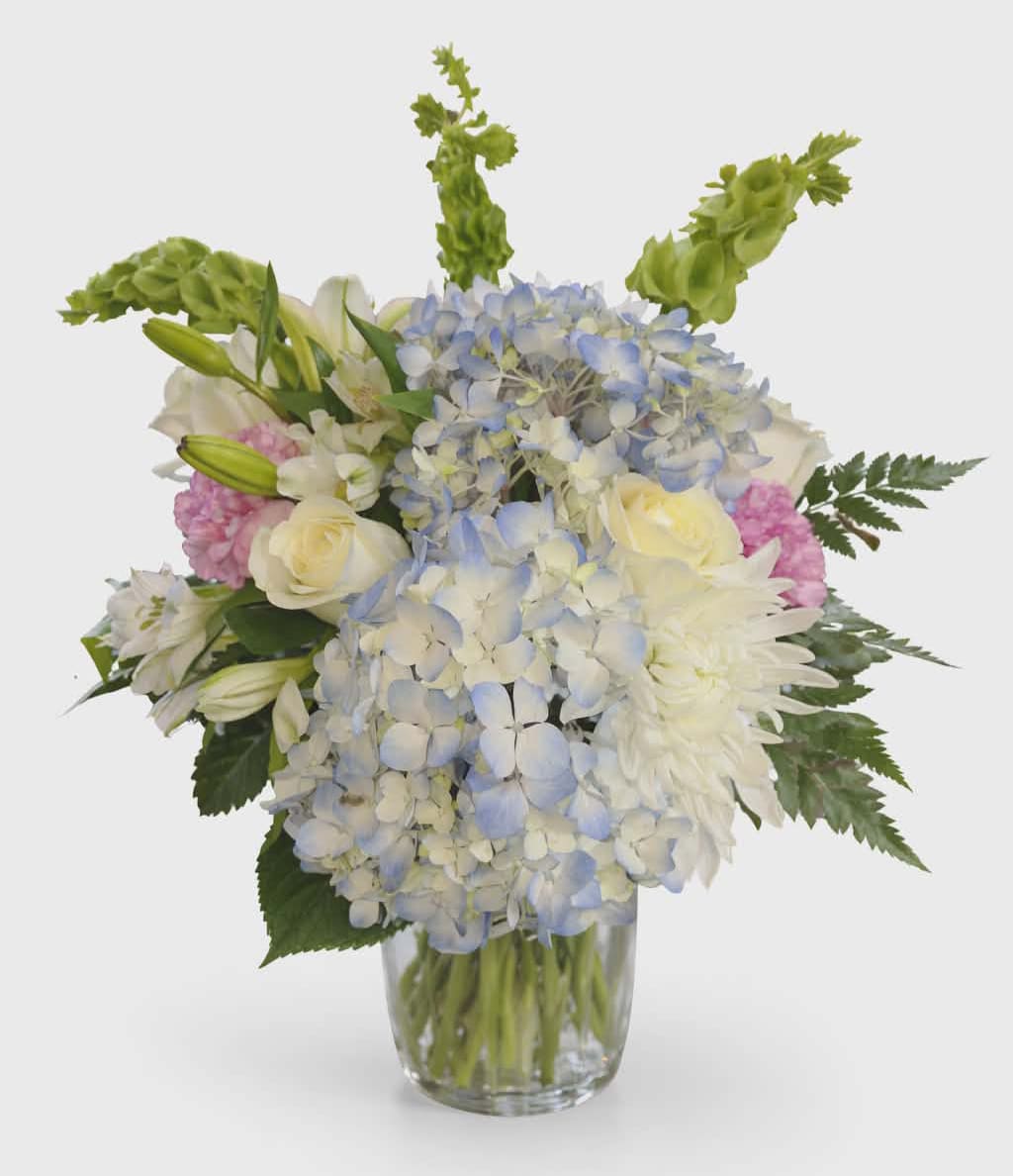 Bountiful Blue Hydrangea Bouquet - Pale blue hydrangeas take center stage in this Bountiful Blue Hydrangea Bouquet, a soothing flower arrangement perfect for sympathy and funeral bouquets, get well wishes, or a thoughtful "thinking of you" gift. The pastel palette-blue, white, lavender and fresh green-creates a calm, uplifting presence that also suits birthdays, anniversaries, new baby celebrations, and Easter or just-because surprises. The overall effect is gentle and reassuring, the kind of arrangement that helps someone feel seen and comforted.  Clusters of large pale blue hydrangeas are surrounded by creamy white roses, delicate lilies, and feathery white chrysanthemums, with soft lavender carnations and small white accent blooms woven through for subtle contrast. Vertical spikes of bright green Bells of Ireland add height and a whimsical silhouette above the rounded form, while touches of lavender stock and alstroemeria enrich the texture. Arranged in a clear glass vase, this bouquet presents a fresh, airy profile that fits bedside tables, mantels, or reception desks.  Designed to convey warmth and calm, this bouquet is an especially thoughtful way to say thank you, welcome a new baby, or mark an anniversary with understated elegance. The clear glass vase keeps care simple-fresh water and regular trimming of stems will help the blooms last-making it an easy, beautiful choice when you want to lift someone's spirits or honor a tender moment.