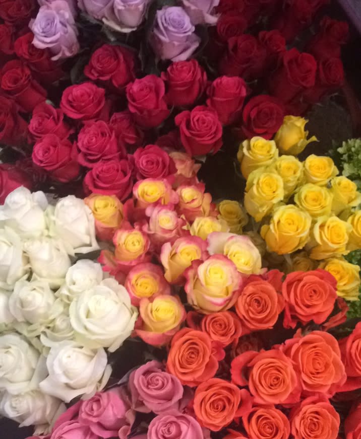 Assorted roses in white, pink, red, and yellow clustered together