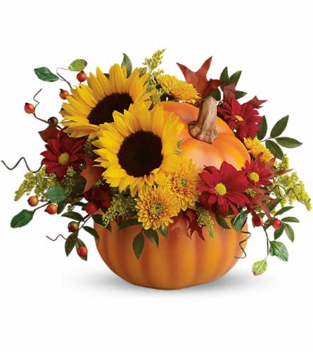 Teleflora's Pretty Pumpkin Bouquet - Rustic autumn flowers are stunning in a hand-painted ceramic pumpkin that looks like it just came from the patch. What a truly gorgeous gift for somebody special. They'll love it year-round - for flowers candy or just to admire. The radiant bouquet includes yellow sunflowers yellow cushion spray chrysanthemums red daisy spray chrysanthemums solidago huckleberry and oak leaves.Approximately 15 1/2" W x 12" H Orientation: One-Sided As Shown : T11H110ADeluxe : T11H110BPremium : T11H110C