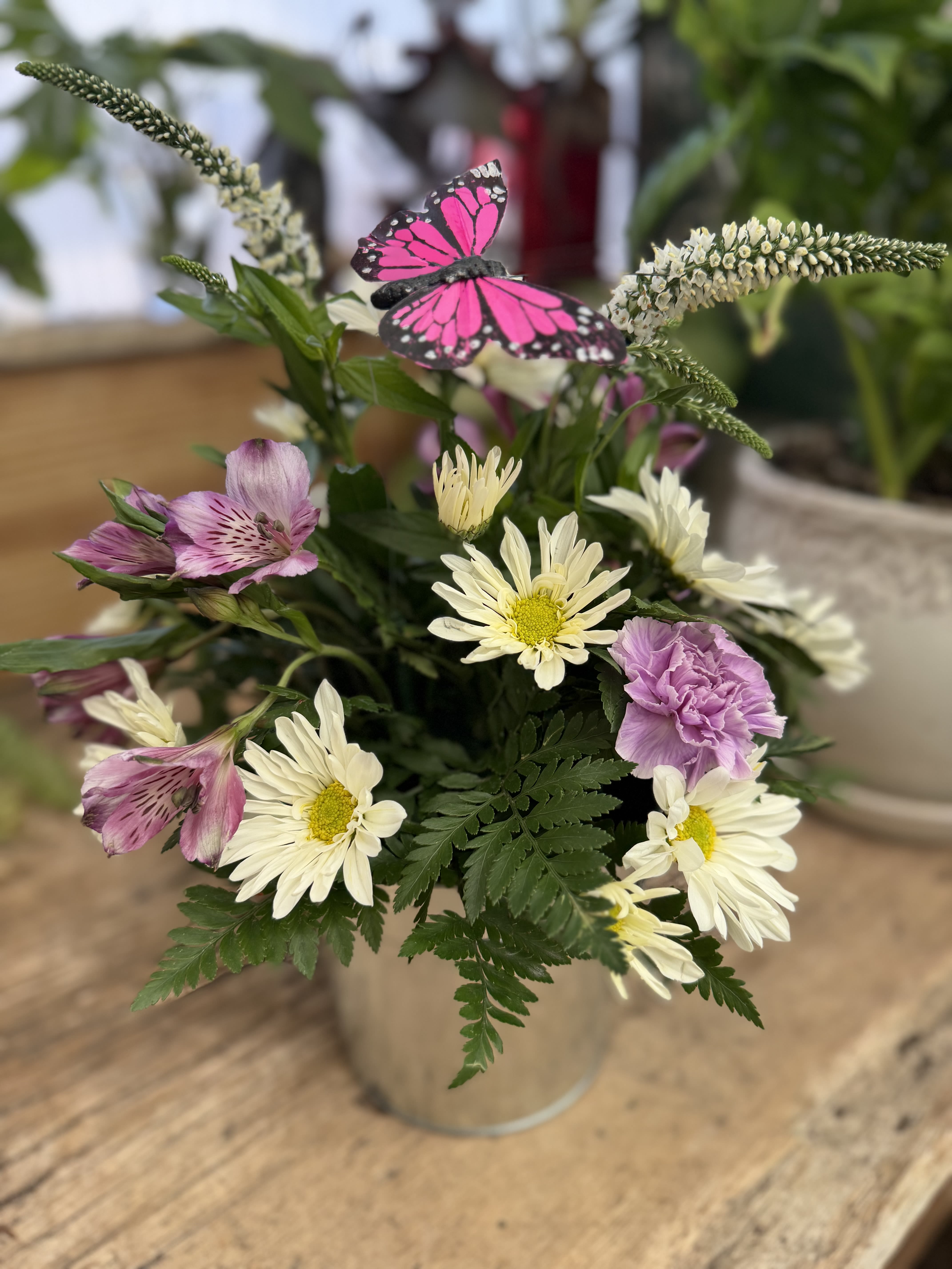 Spring Beauty - Shower them with love and beauty with our Spring Beauty arrangement in a decorative tin pot.  This long lasting arrangement will feature carnations, daisies, alstroemeria, waxflower, greens and a butterfly pick to complete the look.  Colors may vary based on availability.  If you have specific color requests (Purple, Pink, Red, etc), please put that in the order notes. 
