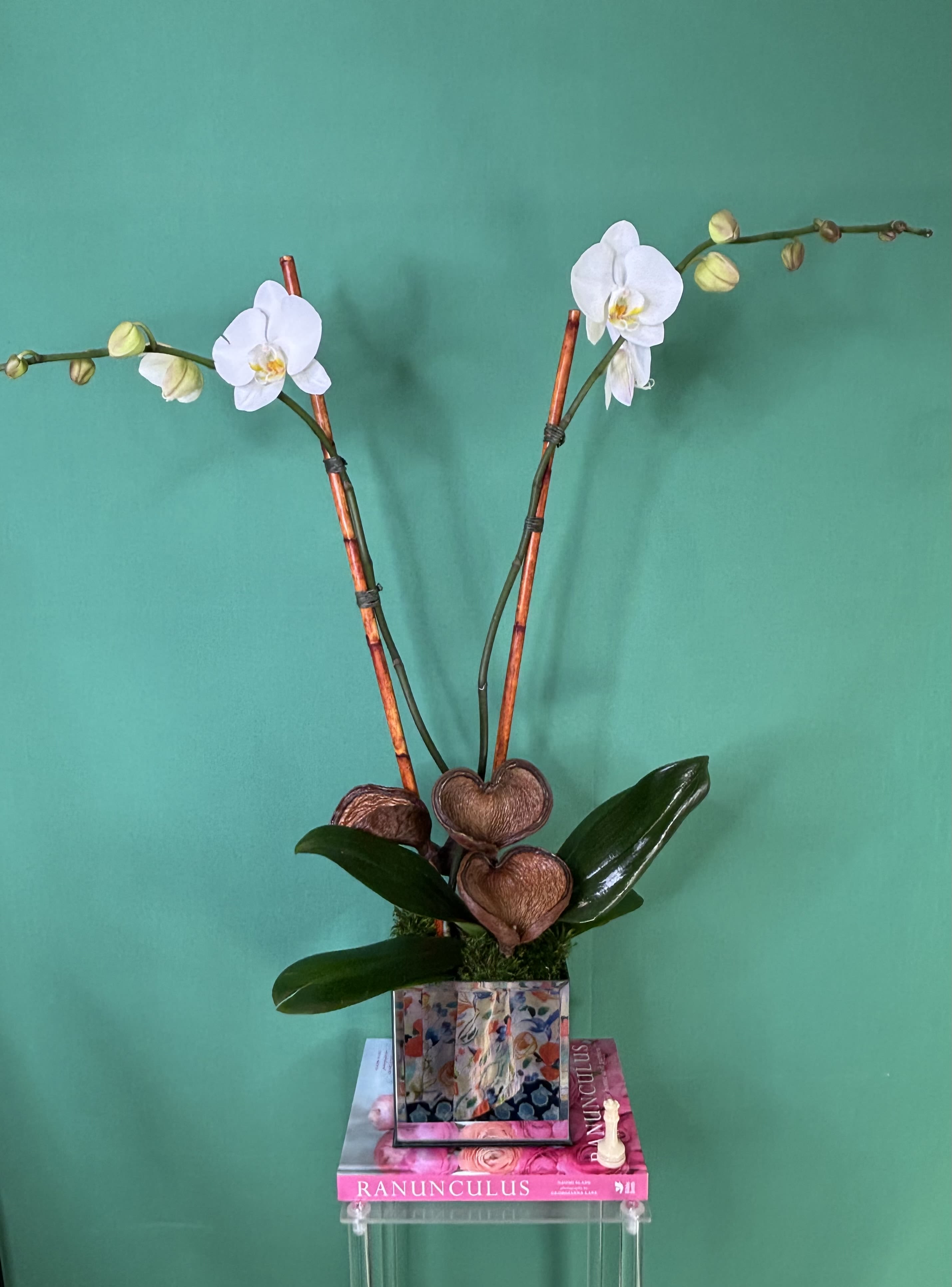 Vanessa - White and elegant timeless flowers known for their pure white petals and delicate beauty. They symbolize peace, love, elegance, and new beginnings.