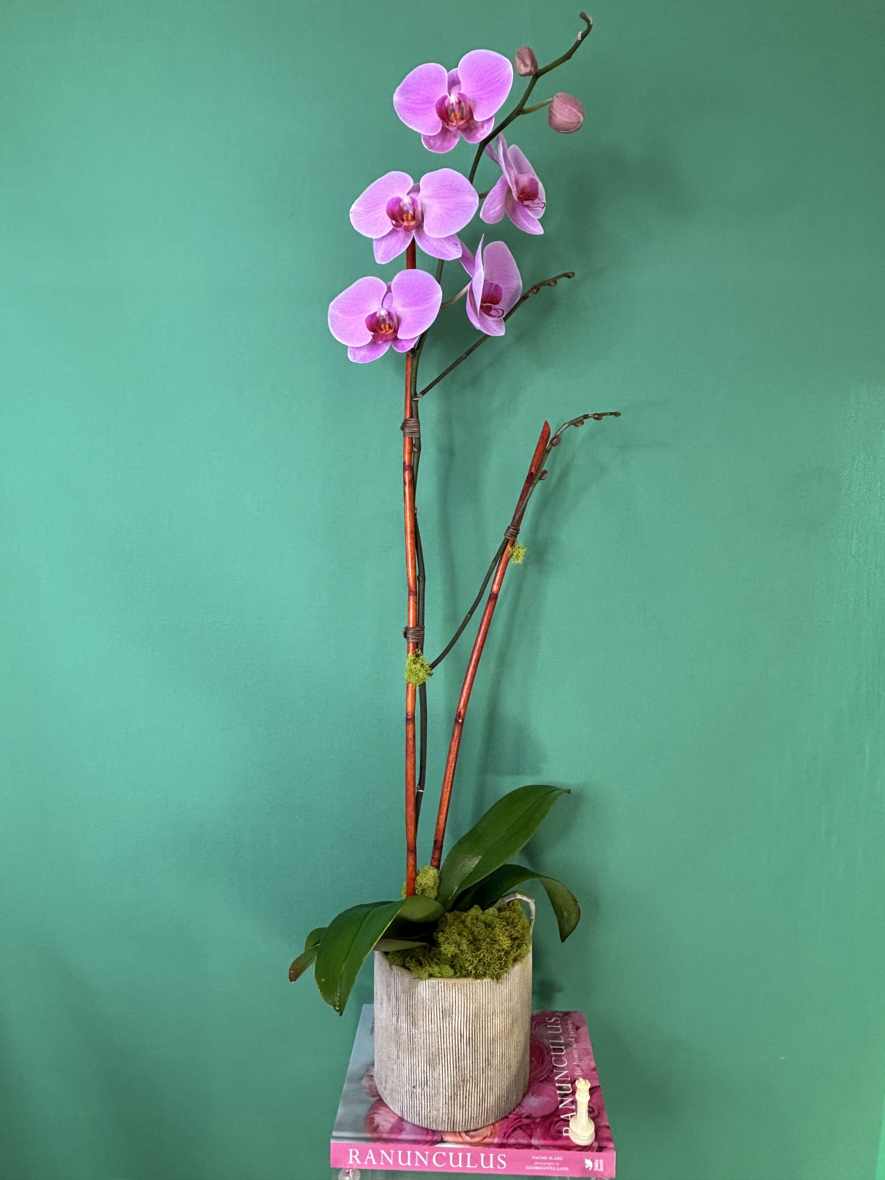Vanilla. - Elegant timeless flowers known for their delicate beauty. They symbolize peace, love, elegance, and new beginnings.