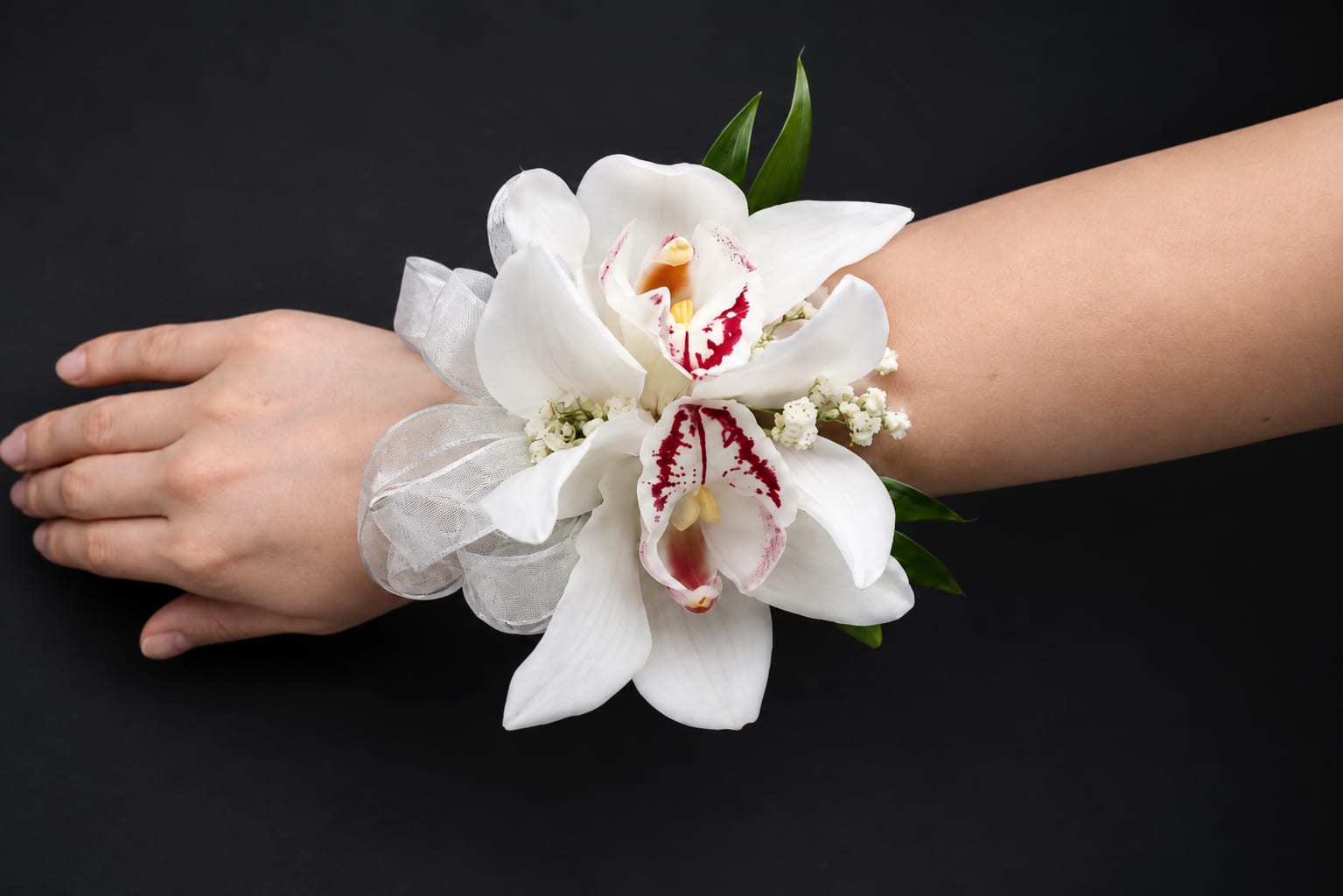 Cloud Pearl Corsage - Two large white orchid blooms with red-speckled centers create an instantly elegant focal point in this wrist corsage-perfect as a prom corsage, wedding accessory, or for any formal event where a refined touch is needed. The Cloud Pearl Corsage is designed to make the person you're celebrating feel noticed and graceful; its clean white palette with festive red accents reads both romantic and celebratory so it suits brides, attendants, or someone headed to a milestone dance.  Delicate white filler blooms and a sheer, translucent ribbon band frame the orchids and keep the look light and formal without overwhelming the wearer. The compact, wrist-mounted design sits comfortably on the arm and pairs naturally with dresses and tuxedos; its green foliage accents add a fresh contrast to the white and red. Order sizing is wrist-friendly and crafted to stay secure through photos and dancing-an understated, tailor-made accent that leaves the wearer feeling genuinely seen on their special night.