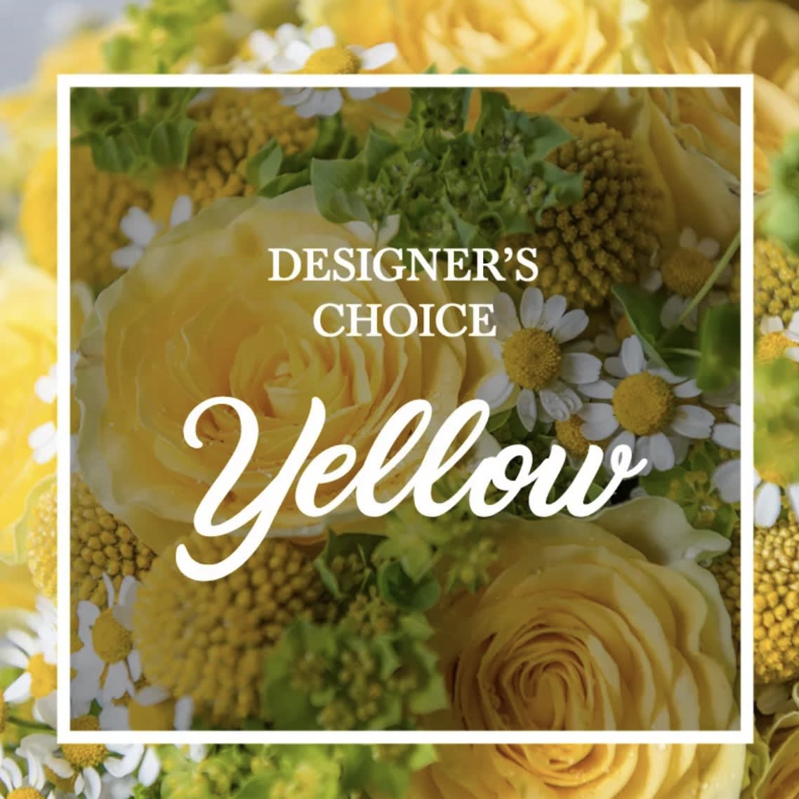 Yellow roses and small white daisies with green filler