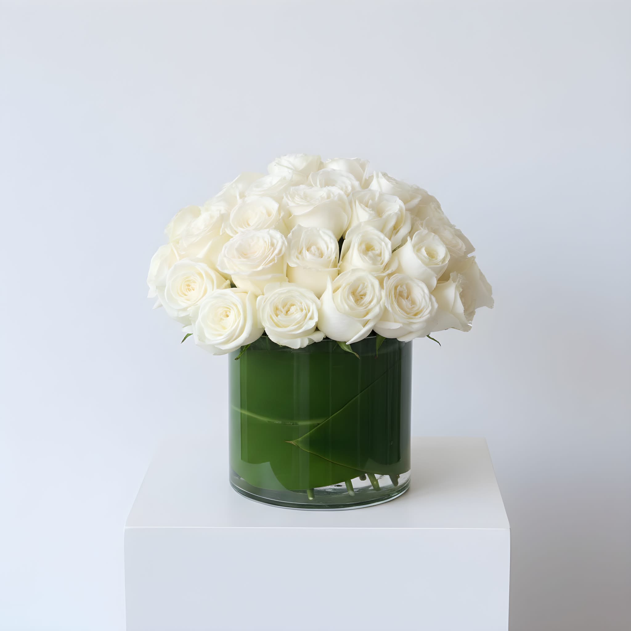 Three Dozen White Roses - Make a bold statement with this elegantly simple design. White roses symbolize hope, honor, adoration, and innocence. Three Dozen White Roses is the perfect gift to welcome new beginnings or show your respects.  