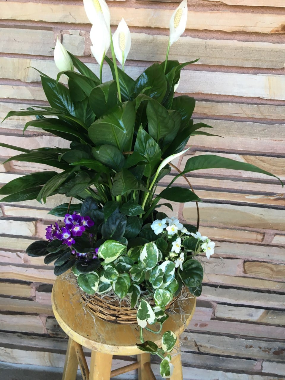 Mixed potted plant arrangement with white peace lilies and small purple and white blooms