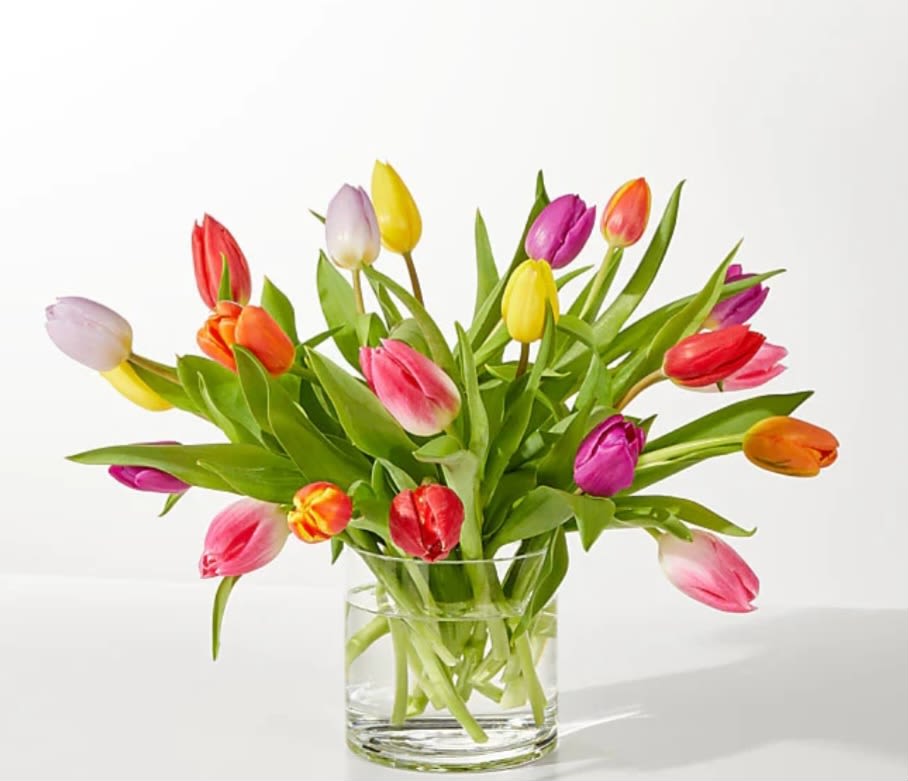 Tip Toe Bouquet - The freshest Multi colored tulips. In a designer vase. Tulip colors may vary