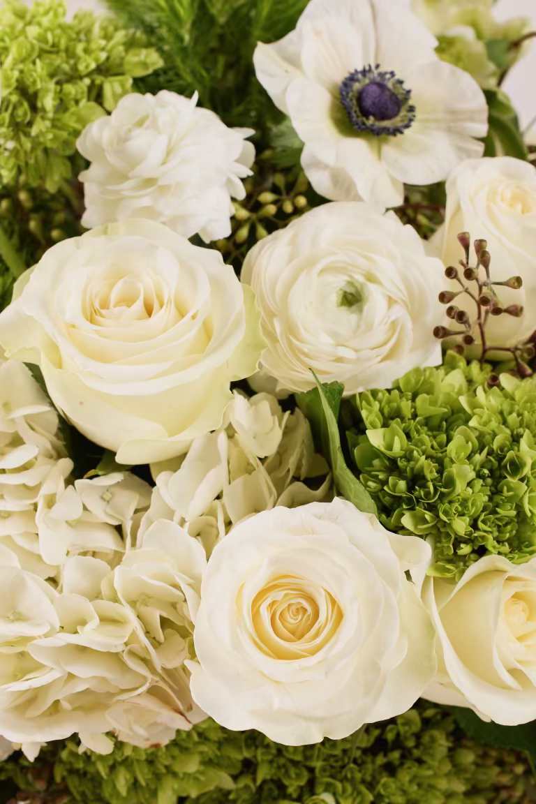 White roses and anemones with green hydrangeas in a close-up bouquet