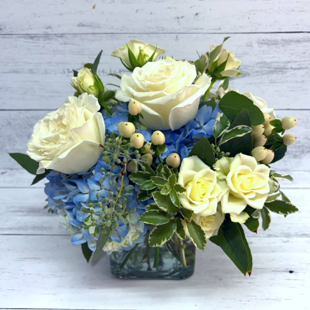 White roses and blue hydrangeas arranged in a glass vase