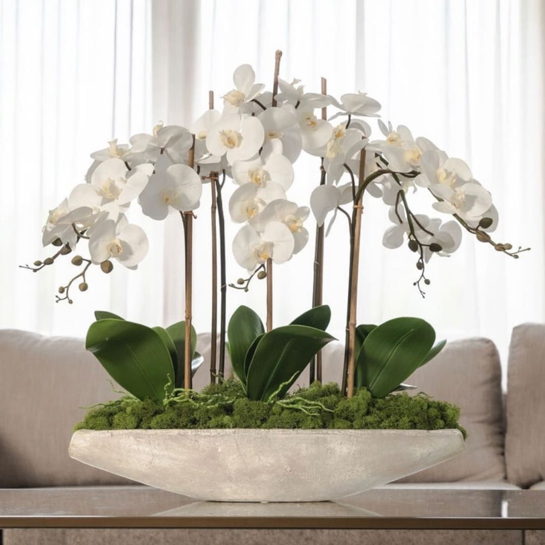 White orchids arranged in a low white bowl with moss