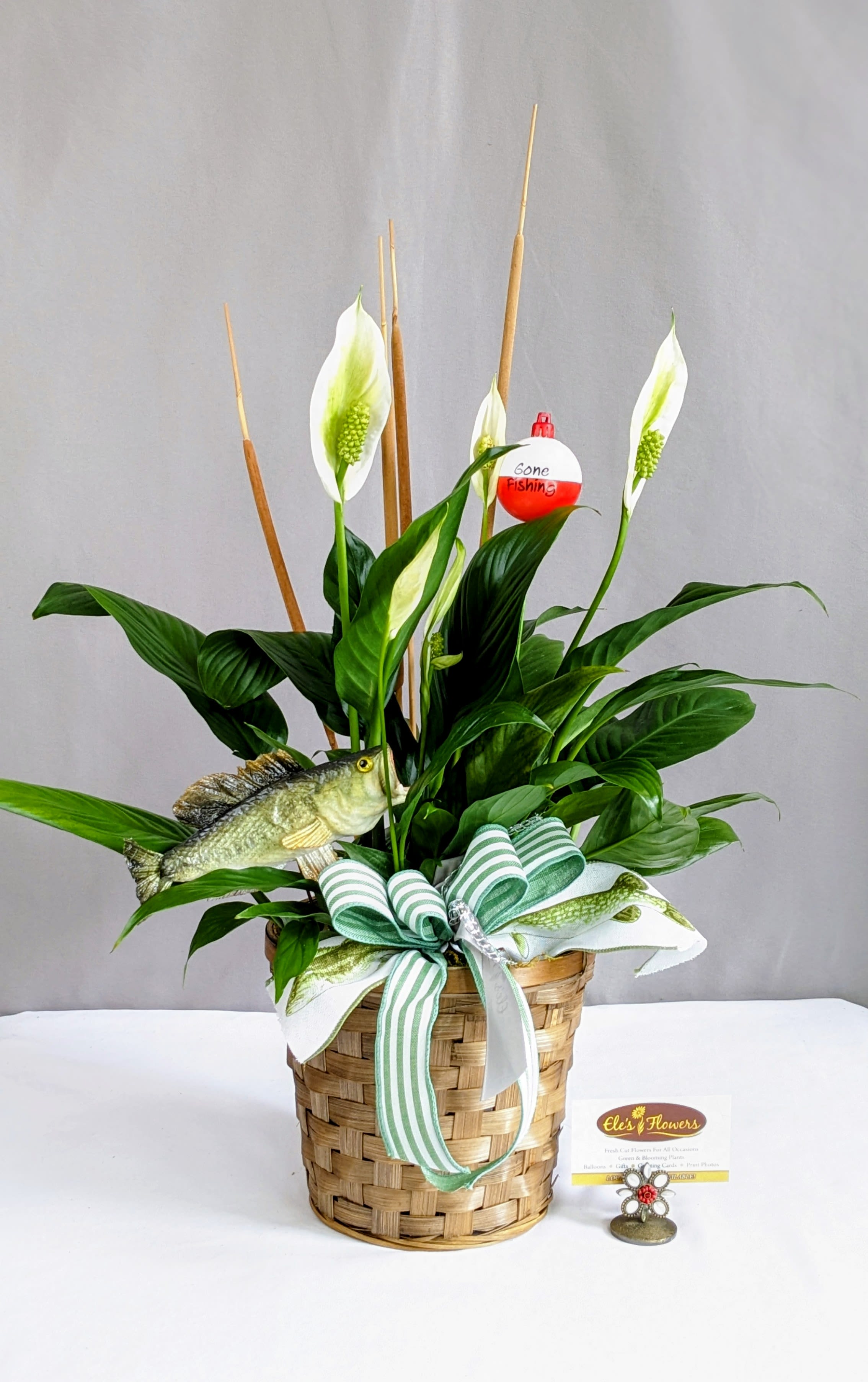 Gone Fishin' Peace Lily  - 6" Planter  - The Peace Lily is a popular, easy-to-care-for houseplant known for its glossy green leaves and elegant white blooms, which symbolize peace and tranquility. Ideal for low to medium light conditions, it also helps purify the air, making it perfect for homes and offices. Peace lilies prefer consistently moist soil but shouldn’t sit in water. They’re a great choice for adding beauty and a calming presence to any indoor space. We incorporate cattails, realistic fish and bobber with fishing ribbon as a great option for any avid fisherman.   Keep in mind that all parts of the plant are toxic if ingested, so take care around pets and children. Care instructions are provided.  Approximate Dimensions: 26"H x 18"W