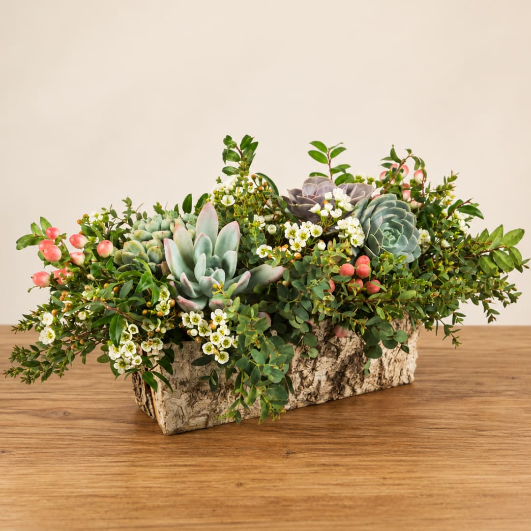 Succulent arrangement in a bark-style planter with small white flowers and pink berries