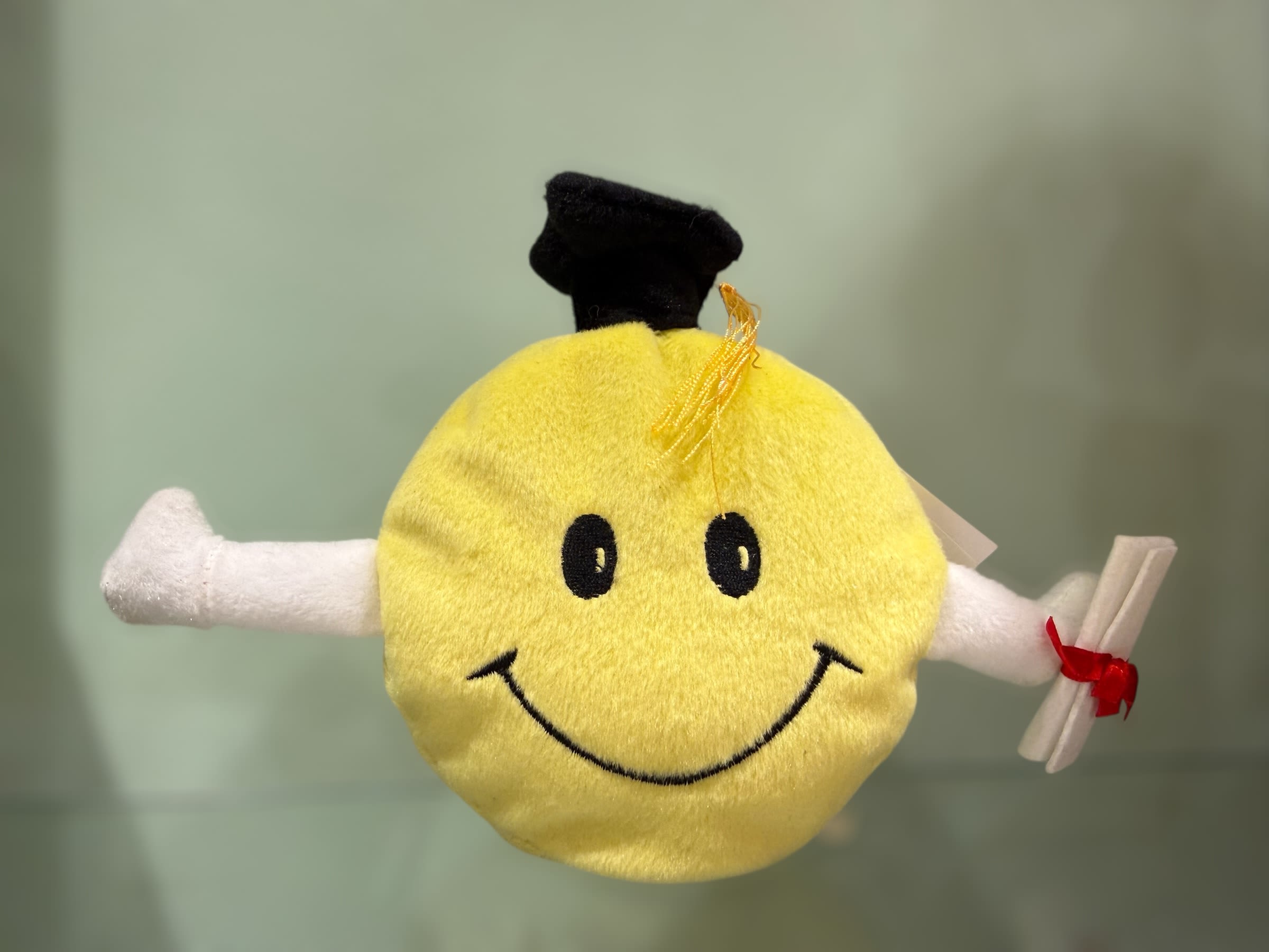 Smiling yellow plush graduation character with a black cap and diploma