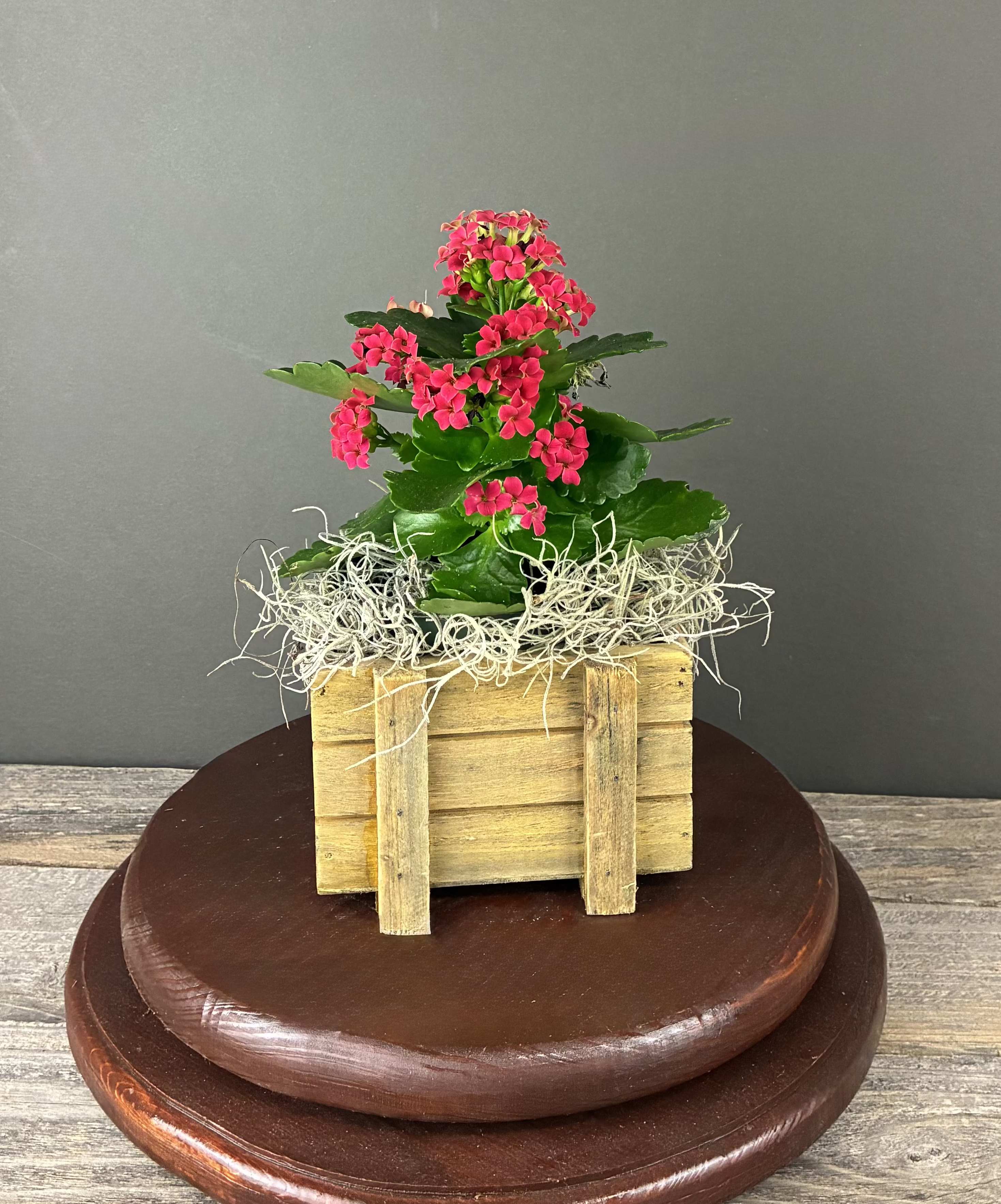 Small pink flowering plant in a rustic wooden crate with moss