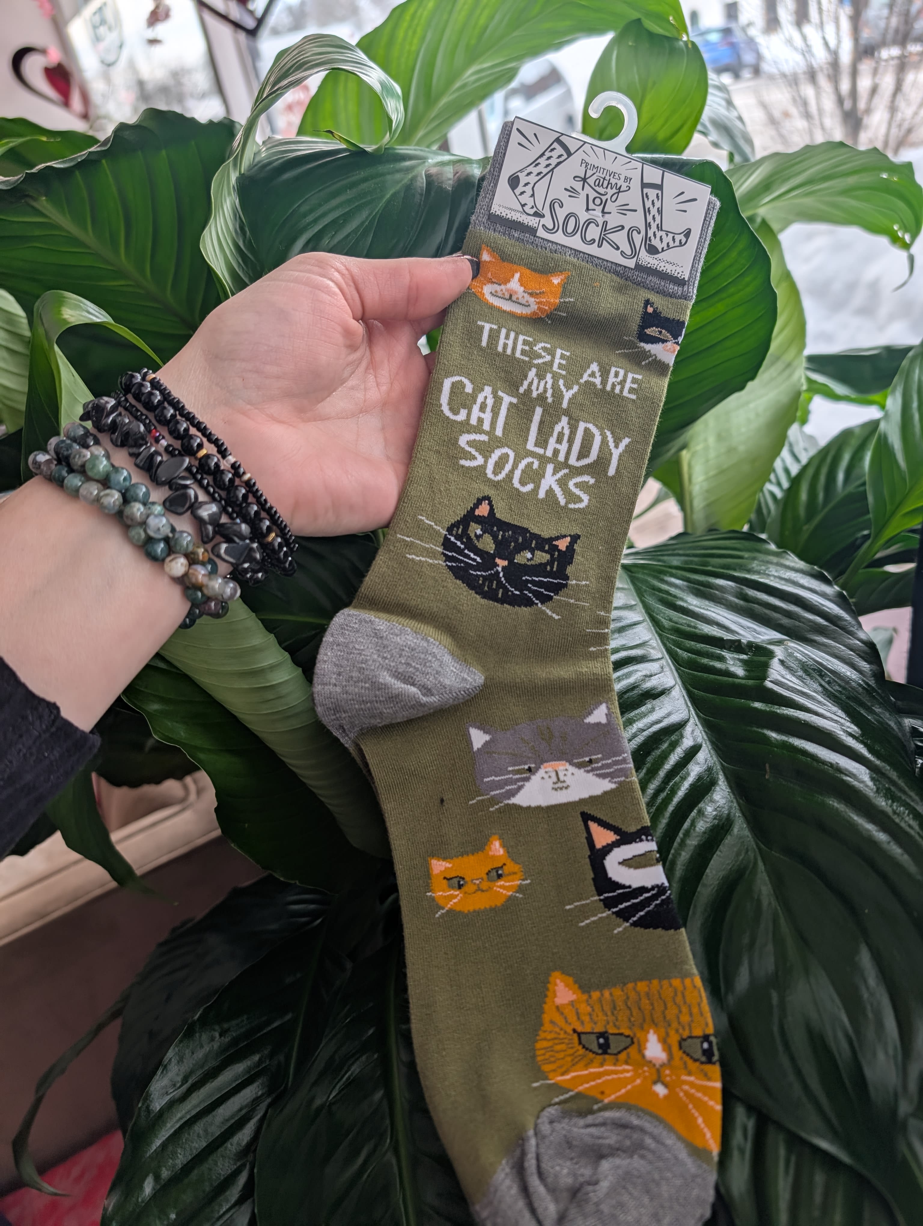 Hand holding cat-themed socks in front of large green houseplant leaves
