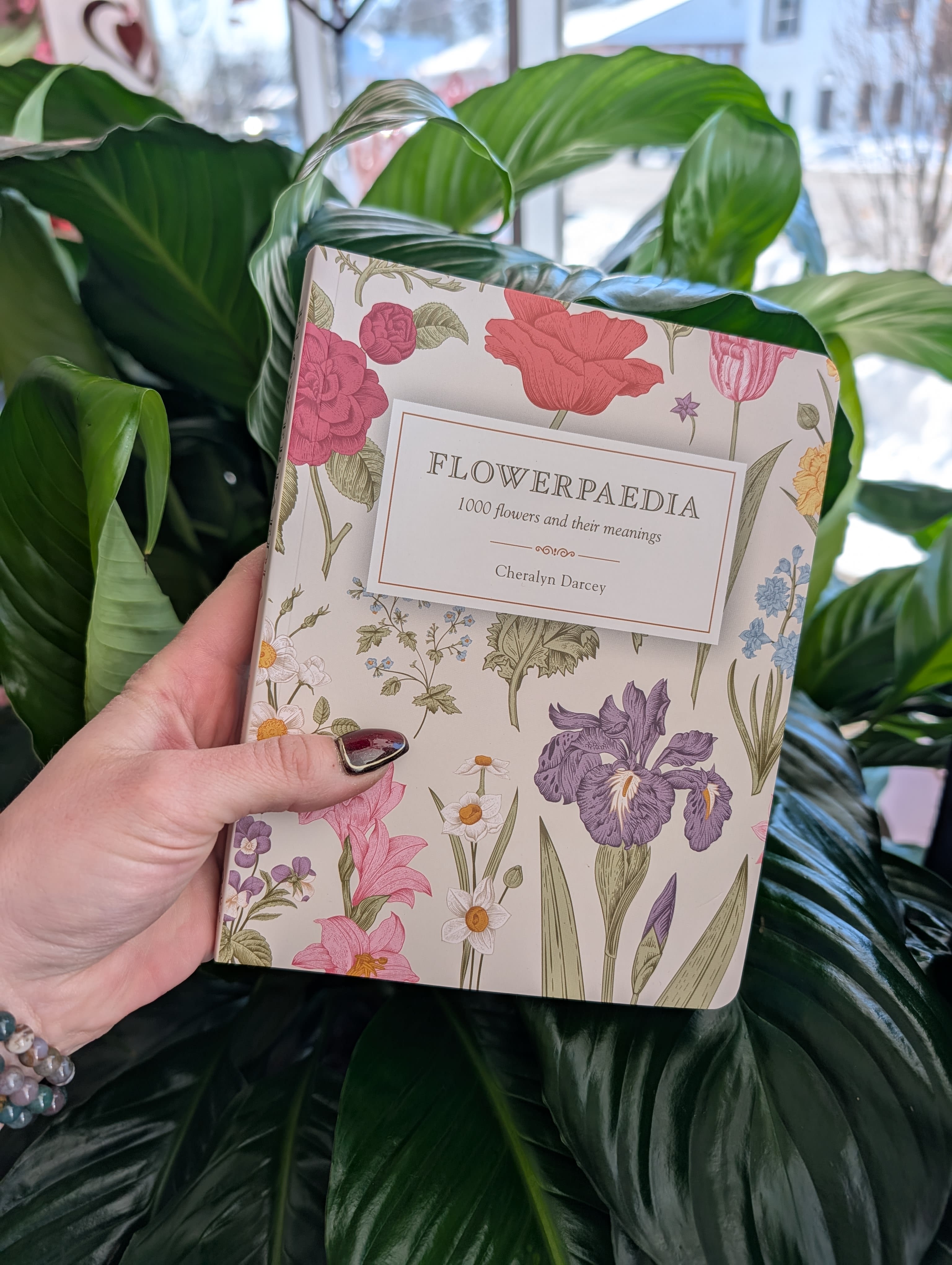 Hand holding a floral-patterned book in front of large green leaves