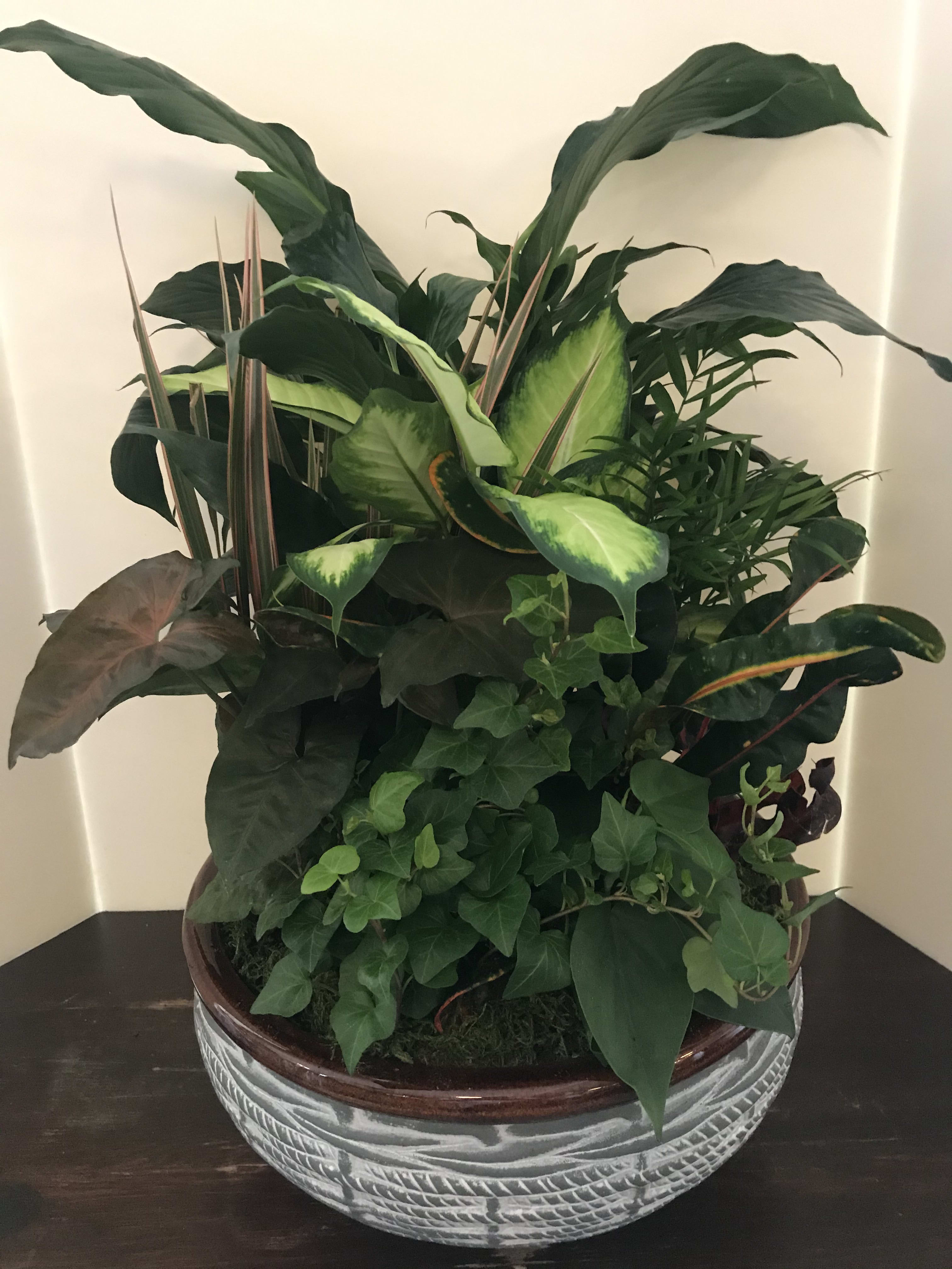 A large potted arrangement of assorted green houseplants in a decorative bowl.