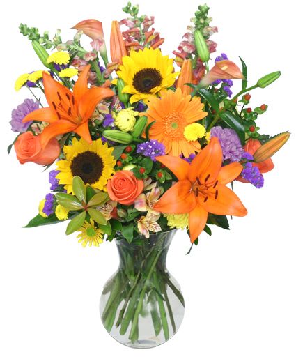 HARVEST RHAPSODY Arrangement -  Capture the essence of fall with this stunning arrangement! Filled with captivating orange roses, sunflowers, purple 'Moonshade' carnations, yellow button poms, rust calla lilies, and more, Harvest Rhapsody is a beautiful mix of seasonal colors. Surprise someone you love or treat yourself to this breathtaking bouquet! 