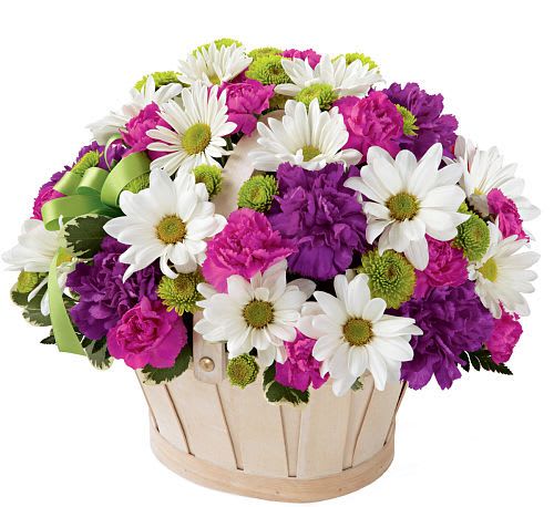 Basket of white daisies, pink and purple carnations, and green button mums