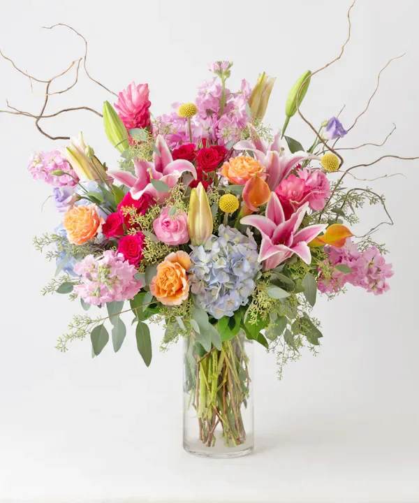  exquisite celebration Arrangement - Enjoy the enchantment of bright, lush blooms with our "Wild Beauty" arrangement. This stunning creation features blush-toned roses, pink ranunculus, mango calla lilies, and two-toned hydrangeas. The arrangement is further enhanced by the exotic flair of pink ginger, the dramatic presence of stargazer lilies, and the vibrant charm of hot pink spray roses. Perfect for adding elegance to any space, the "Wild Beauty" is an exquisite celebration of nature's finest blooms.