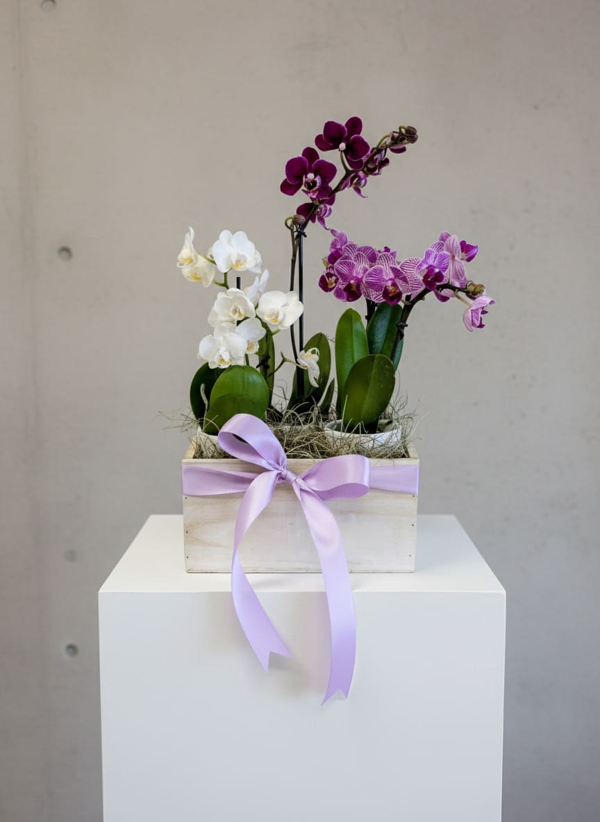 Potted orchids in a wooden box tied with a lavender ribbon