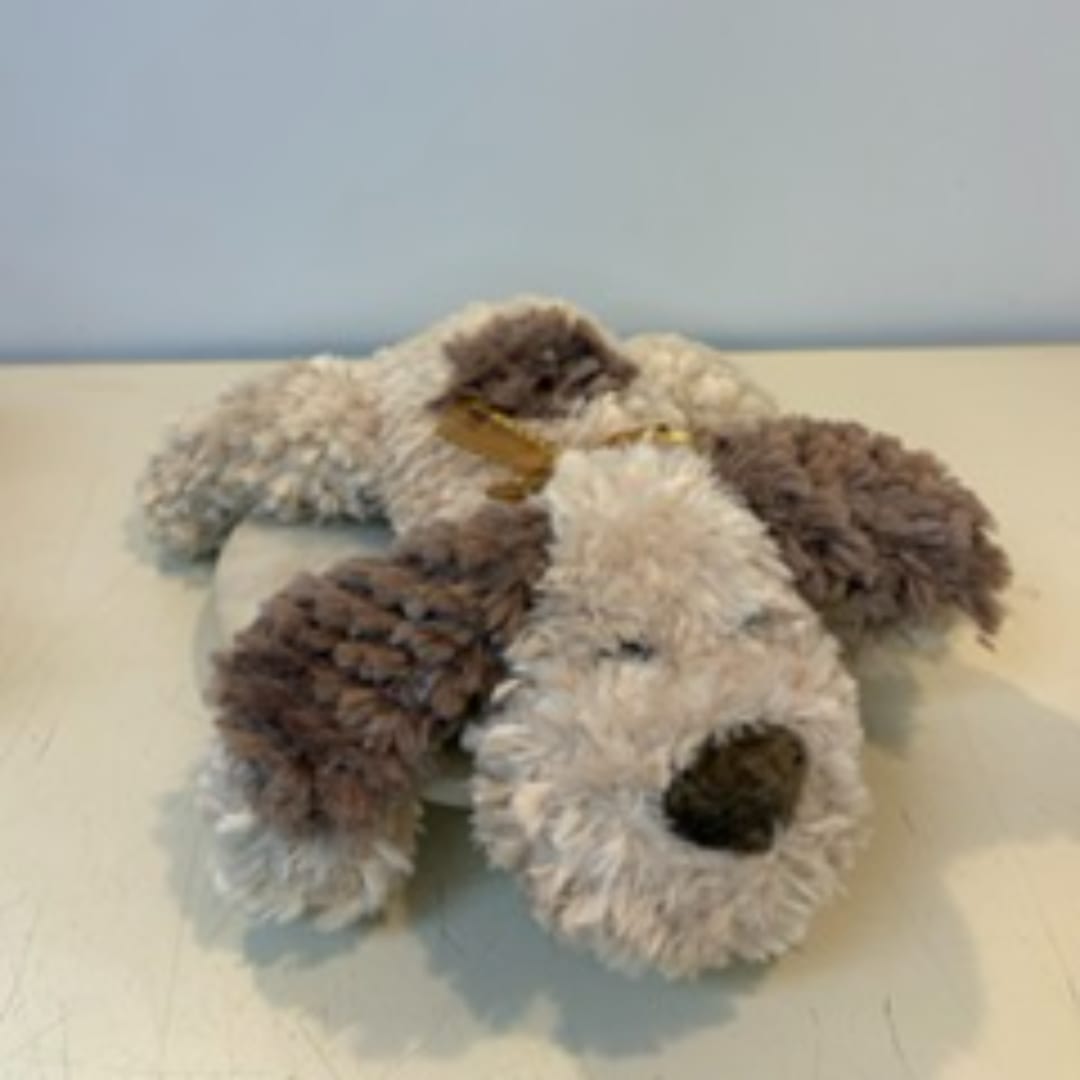 Bundle of fluffy dried seed pods tied with a ribbon