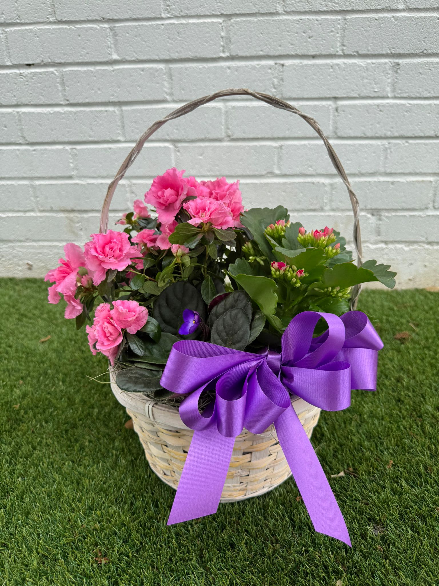 Pink flowering plant basket with a purple ribbon bow