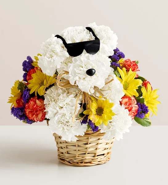 Flower basket arranged as a white dog with sunglasses