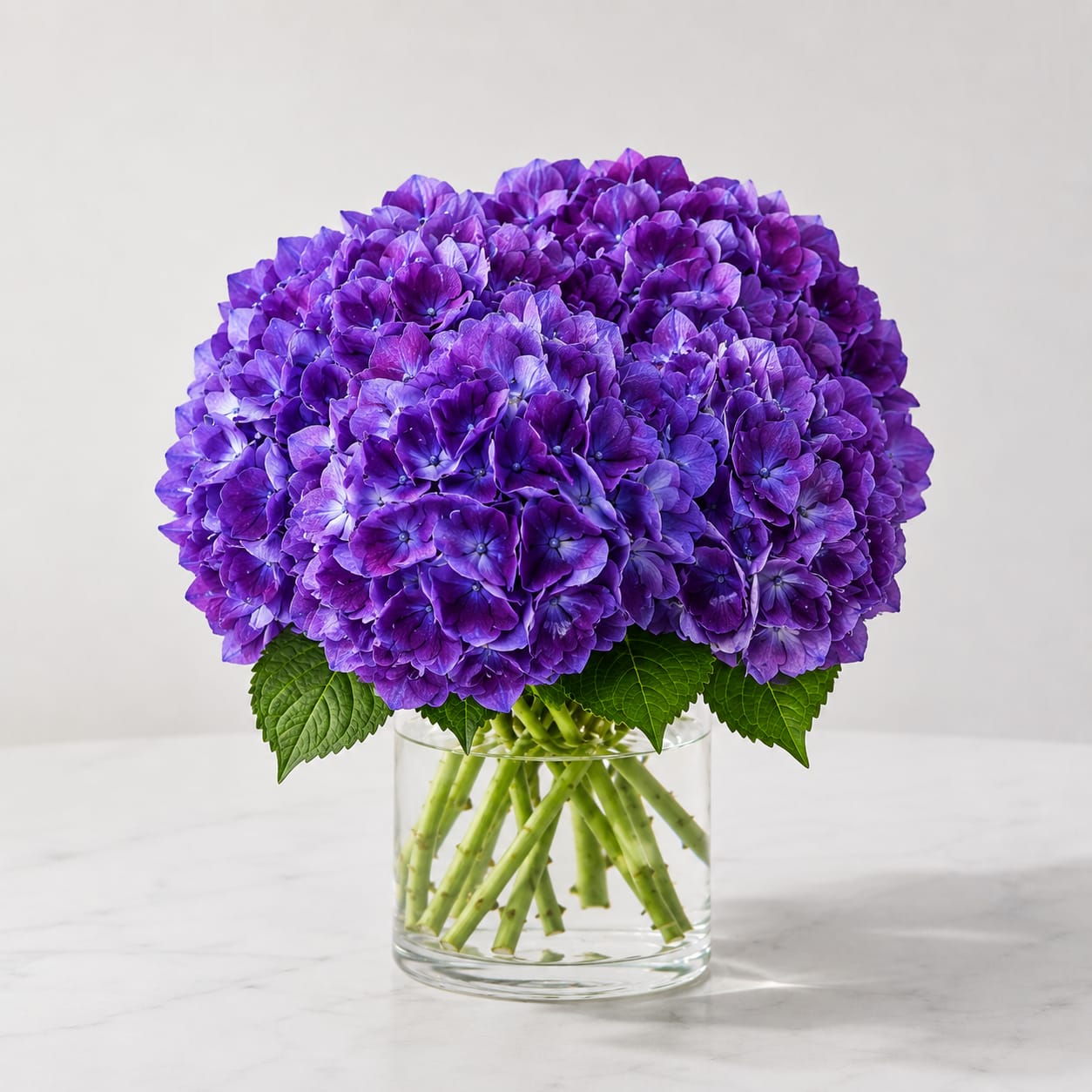 David’s Magical Purple Hydrangea Arrangement - David’s Magical Purple Hydrangea Arrangement is designed with fresh premium purple hydrangeas in beautiful shades of violet, lavender, and deep purple. This elegant hydrangea bouquet is arranged in a clear glass vase for a clean, modern look that works for birthdays, sympathy, thank you gifts, get well flowers, or simply bringing fresh beauty into the home.  Each arrangement is designed by Floral Concepts using the freshest hydrangeas available. Color tones may vary naturally, giving every design its own unique purple mix.  Floral Concepts offers free same-day flower delivery in Houston and surrounding areas.