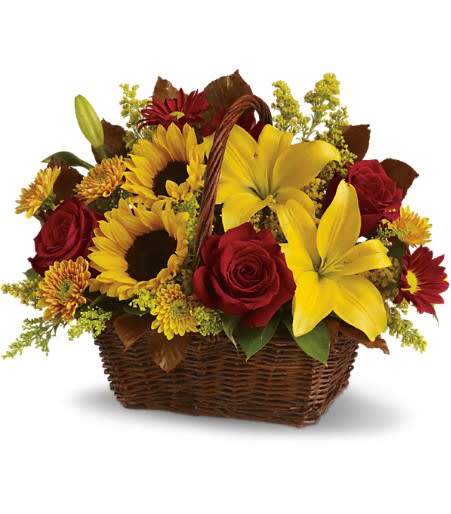 Golden Days Basket - TF - Here's a golden opportunity to make someone's day. Just send this delightful basket of fresh fall flowers to someone who's on your mind and you can be sure it will lift their spirits! Sunny sunflowers and lilies, red roses, with chrysanthemums and lush greens are splendidly arranged in a wicker basket. Send it and you'll be golden, too.