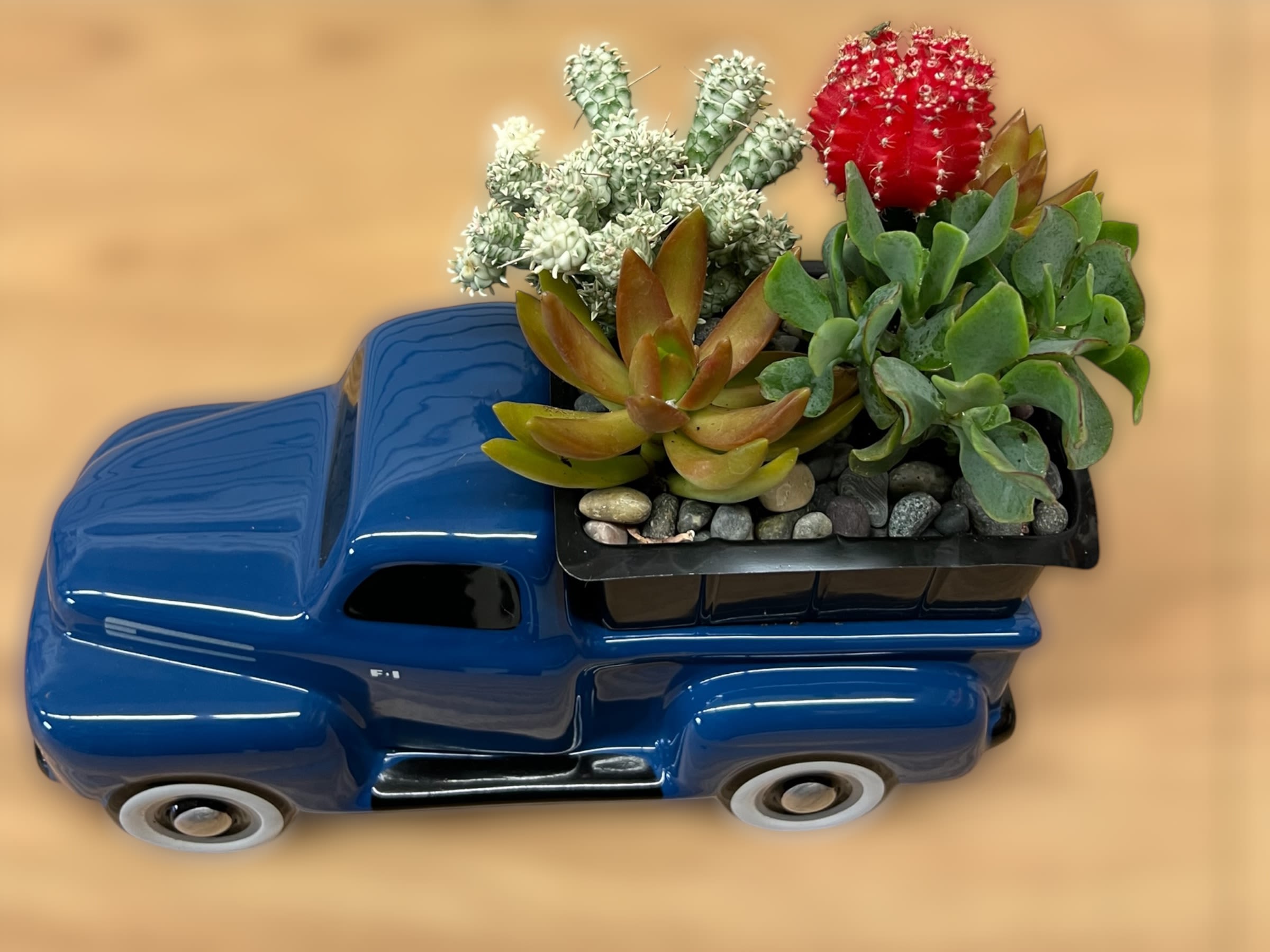 Blue toy truck holding a small succulent planter