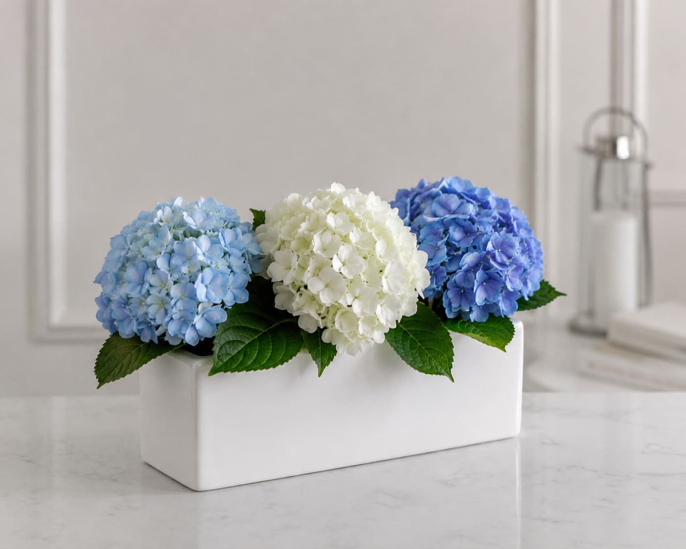 The Palmetto - Lush Hydrangeas arranged in a rectangular vase for a classic and elegant look.  LIMITED AVAILABILITY for white ceramic container. ** Container may vary** **Hydrangea colors may vary-please call for special requests**