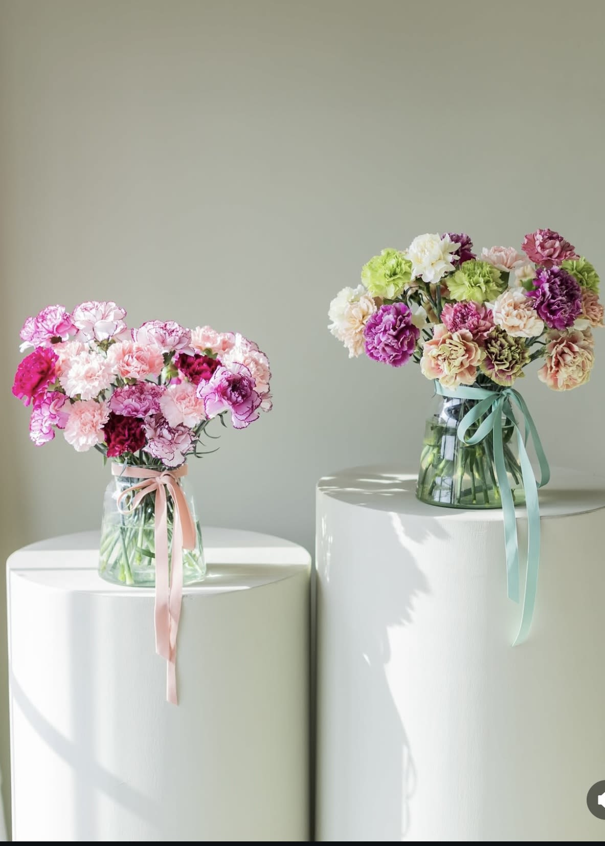Two bouquets of carnations in glass vases with ribbon ties