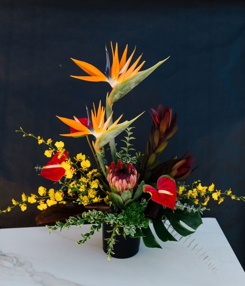 Tropical flower arrangement with bird-of-paradise, anthuriums, and yellow orchids in a black vase