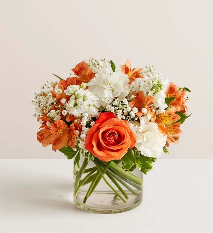 Loving Sentiments™ Peach, Orange &amp; White - Loving Sentiments™ Peach, Orange &amp; White