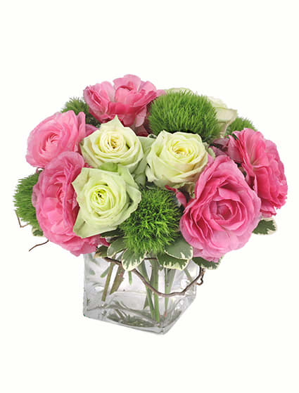 Pink and white roses in a clear square vase