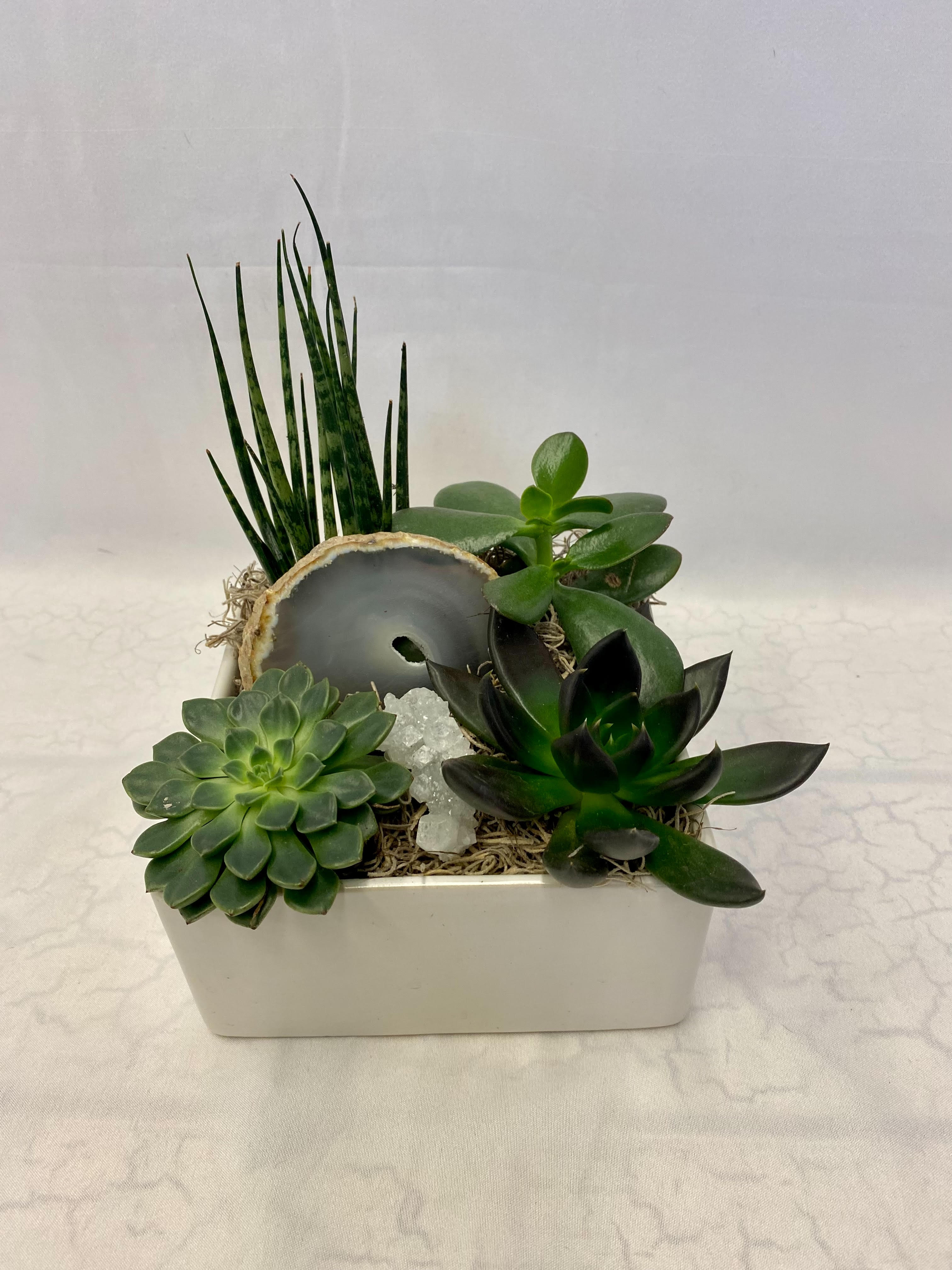 Succulent arrangement in a white rectangular planter with a decorative stone slice