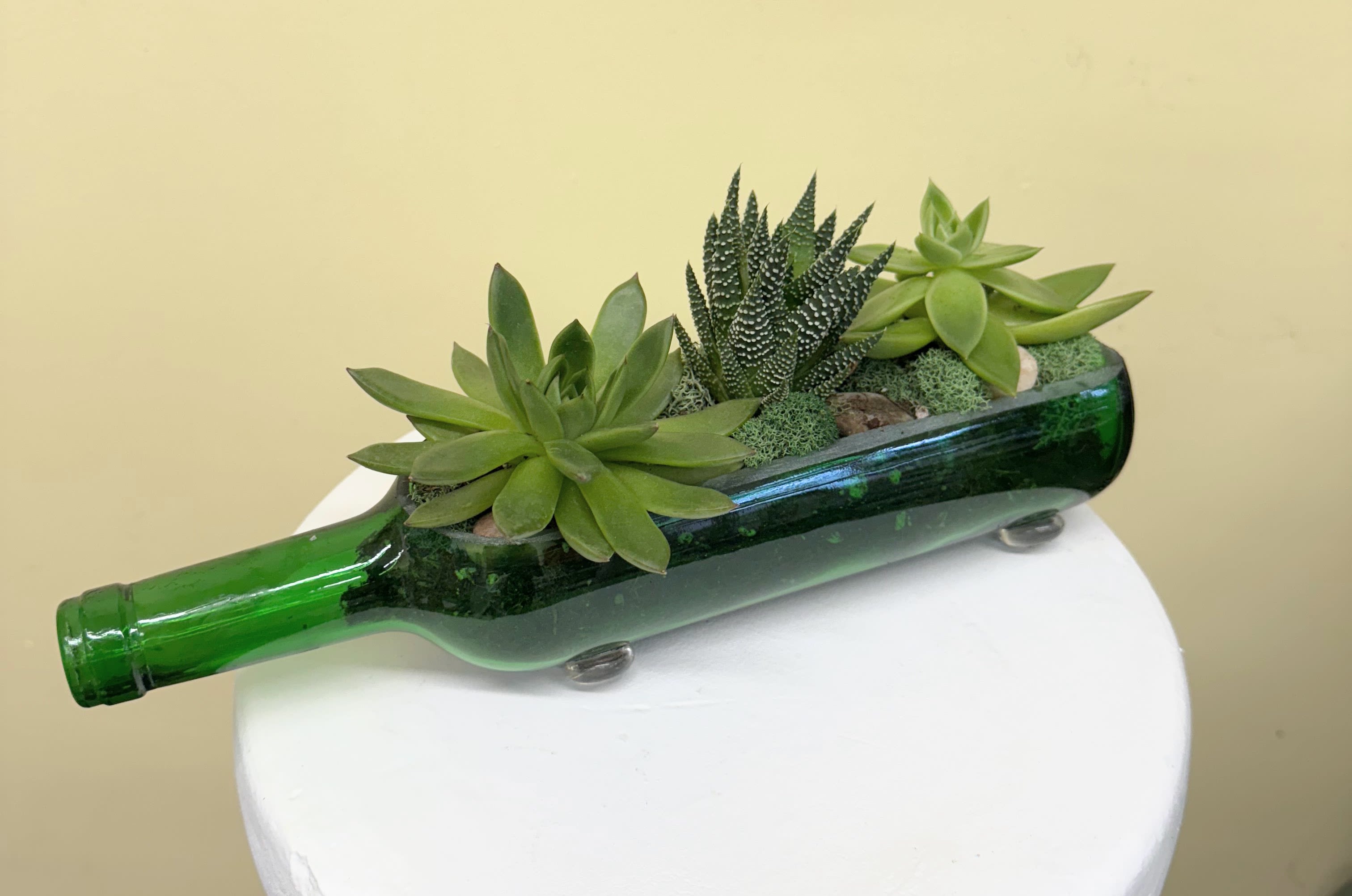 Succulents arranged in a green glass bottle planter