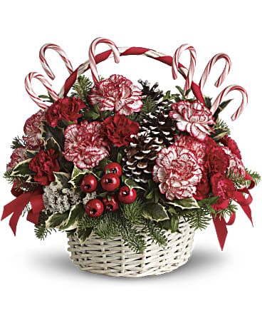 Holiday basket arrangement with red and white carnations and candy canes