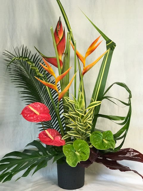 Tropical arrangement with red anthuriums and orange bird of paradise in a black vase