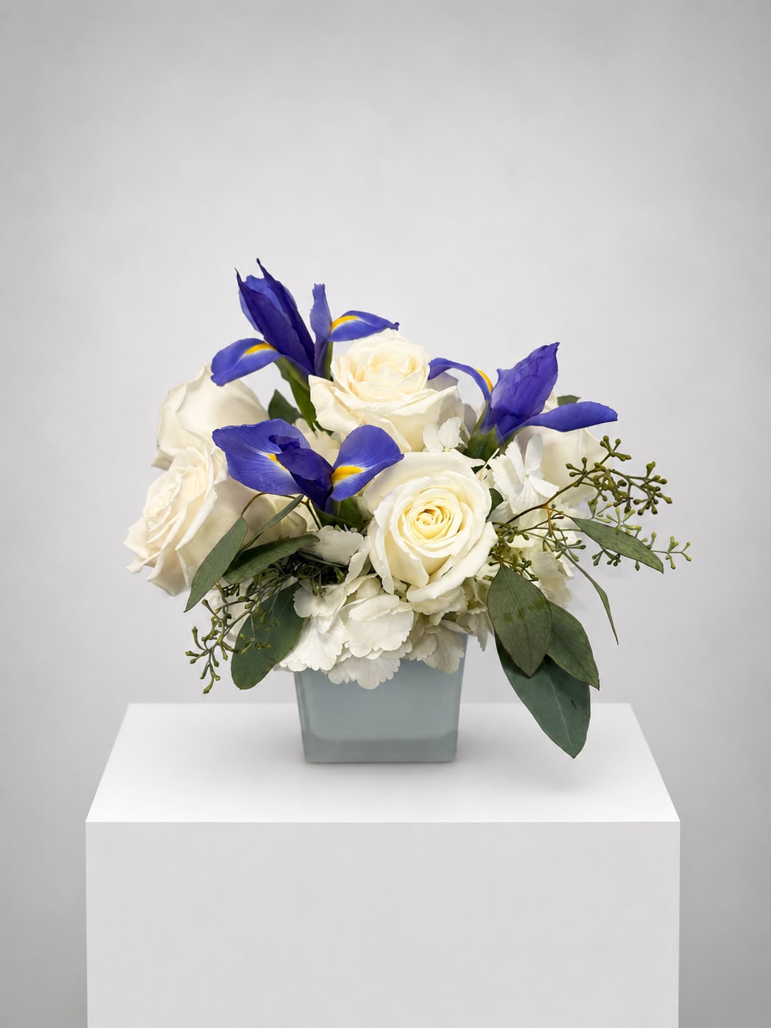 White roses and blue irises arranged in a square vase