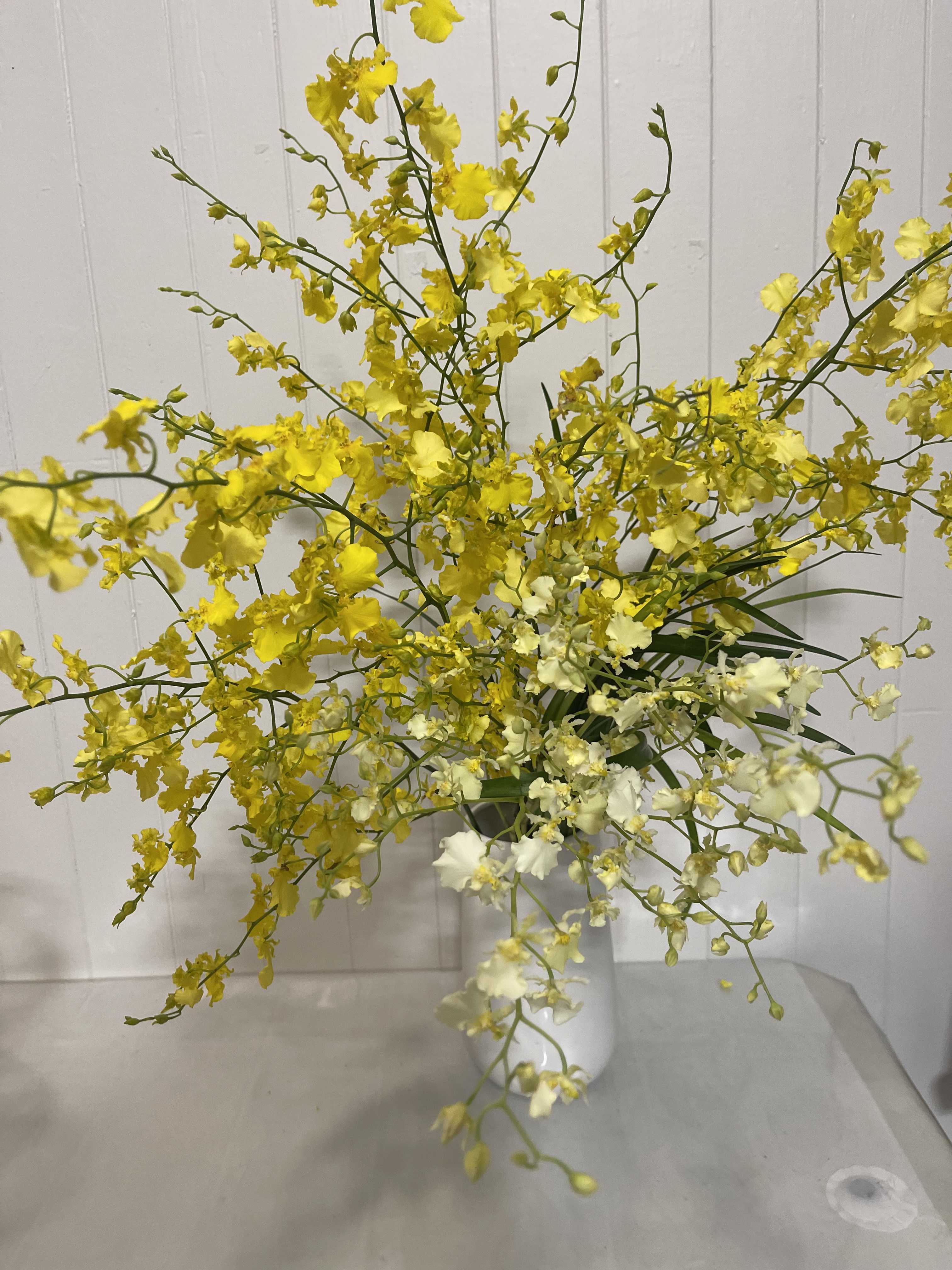 Yellow and white orchid arrangement in a white vase