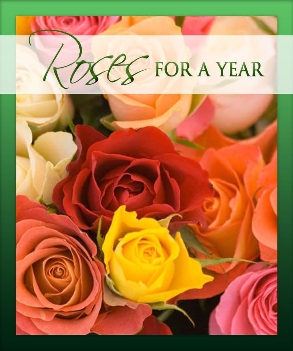 Colorful roses with the text "Roses for a Year"