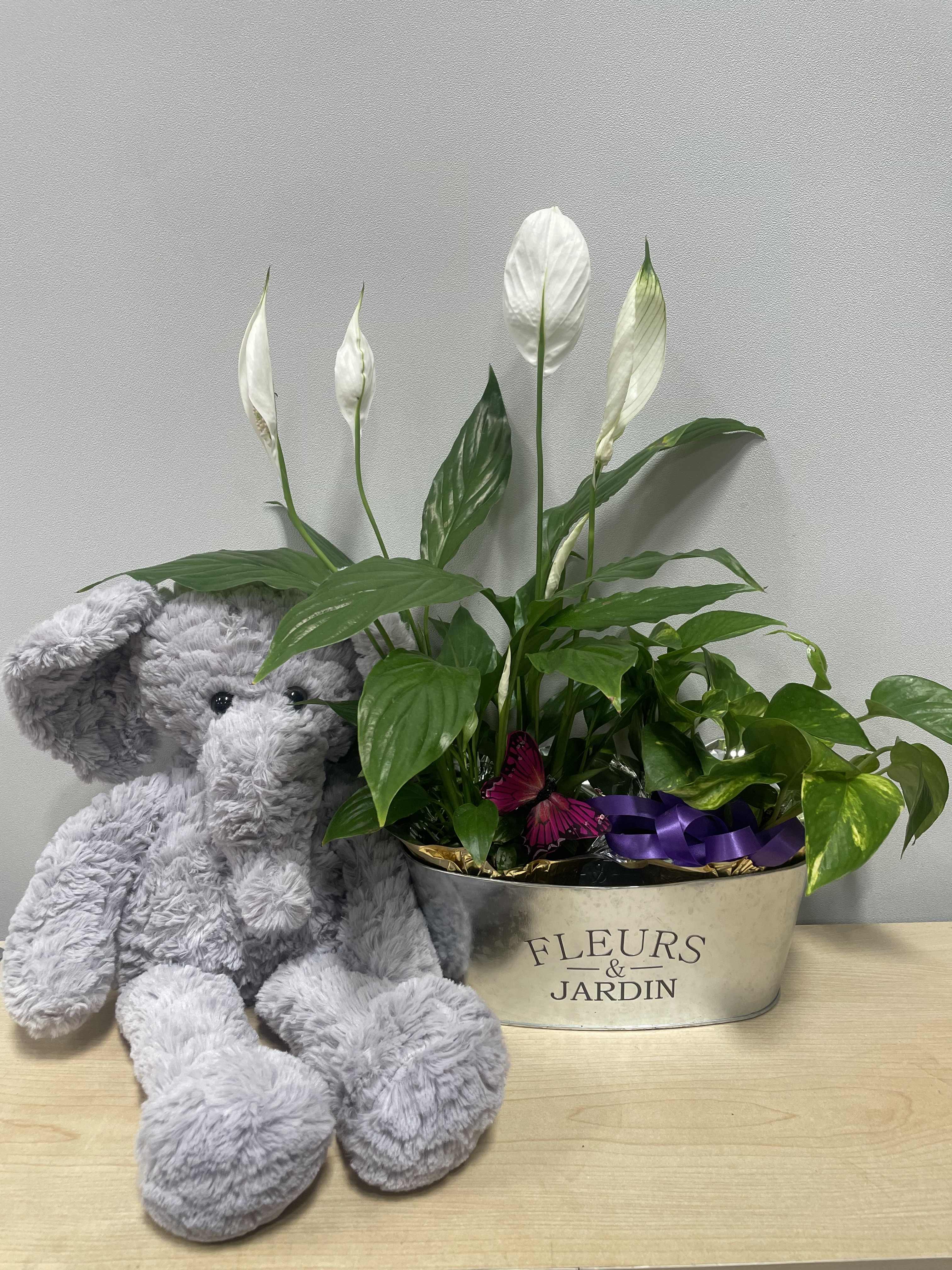 Elephant Garden Planter - As shown 
