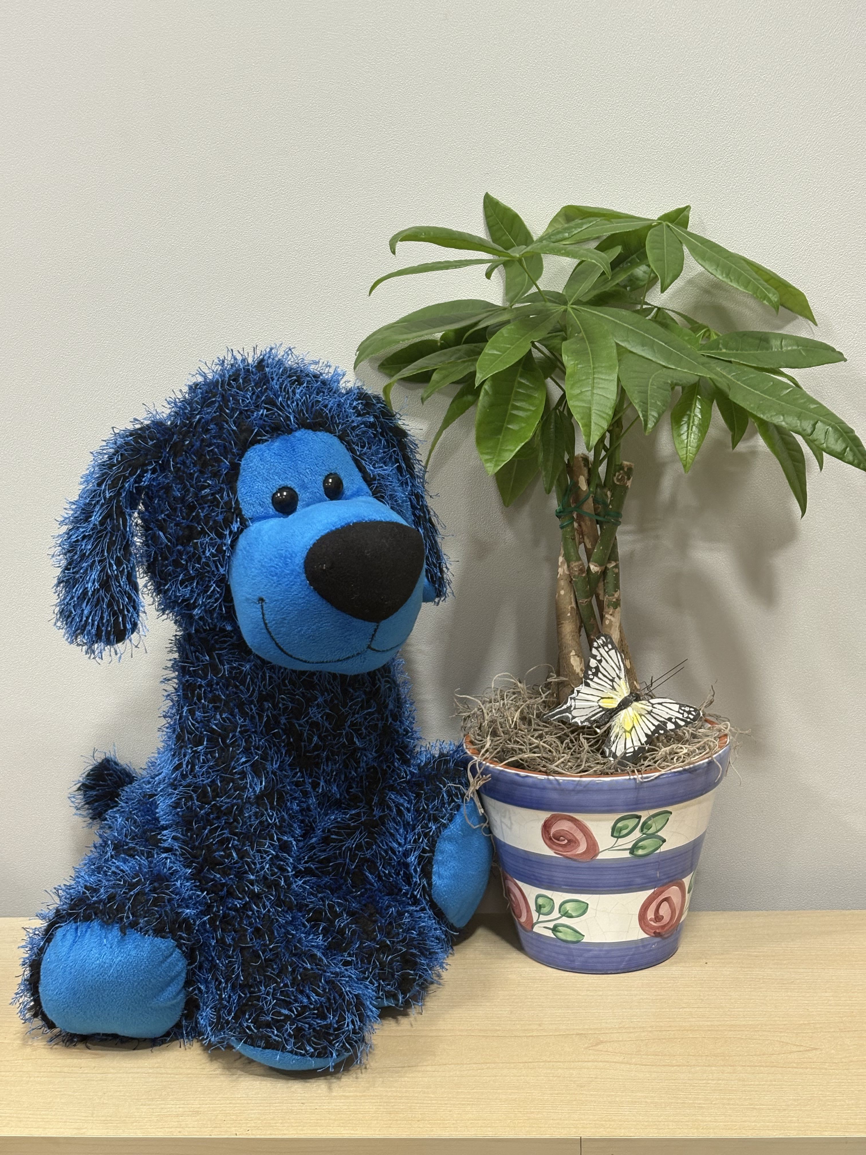 Blue stuffed dog beside a potted plant with a butterfly decoration