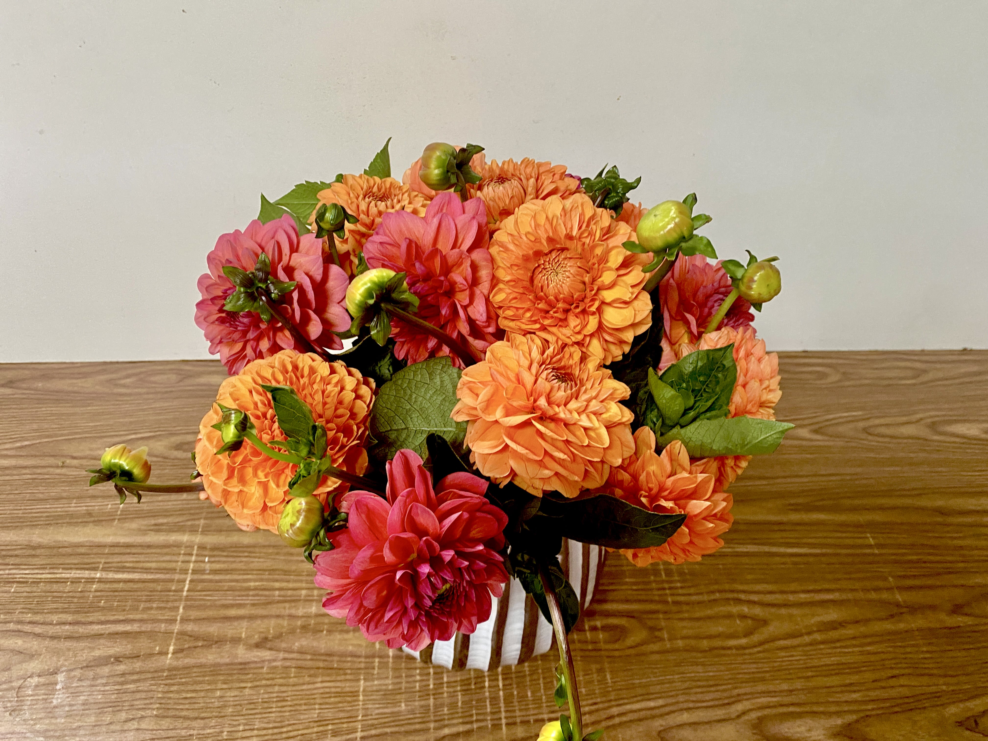 Pinoccio - A stunning display of elegance and charm, this arrangement features a beautiful combination of dahlia flowers artfully arranged in a clear glass vase. Known for their full, layered petals and rich variety of colors, dahlias symbolize grace, inner strength, and beauty, making them a perfect choice for any special occasion. Their bold yet delicate blooms create an eye-catching design that adds warmth to any space, whether it’s a home, office, or event setting.  The clear glass vase provides a classic and modern touch, allowing the natural beauty of the dahlias to shine. Its clean design complements the vibrant colors and textures of the flowers, making it a versatile arrangement that suits both casual gatherings and celebrations. Perfect for birthdays, anniversaries, get-well wishes, or simply as a gift, this dahlia arrangement is sure to leave a lasting impression.  Handcrafted with care by Jane’s Roses, your trusted San Francisco florist, each bouquet is designed with the freshest seasonal dahlias to ensure beauty. With our reliable San Francisco flower delivery service, you can send these gorgeous blooms directly to someone’s door, complete with the elegance and quality that Jane’s Roses is known for.  Celebrate life’s moments with the timeless beauty of dahlias in a glass vase—an arrangement that reflects both nature’s brilliance and the artistry of San Francisco’s premier florist. Order today and experience the joy of fresh, handcrafted flowers delivered with care.