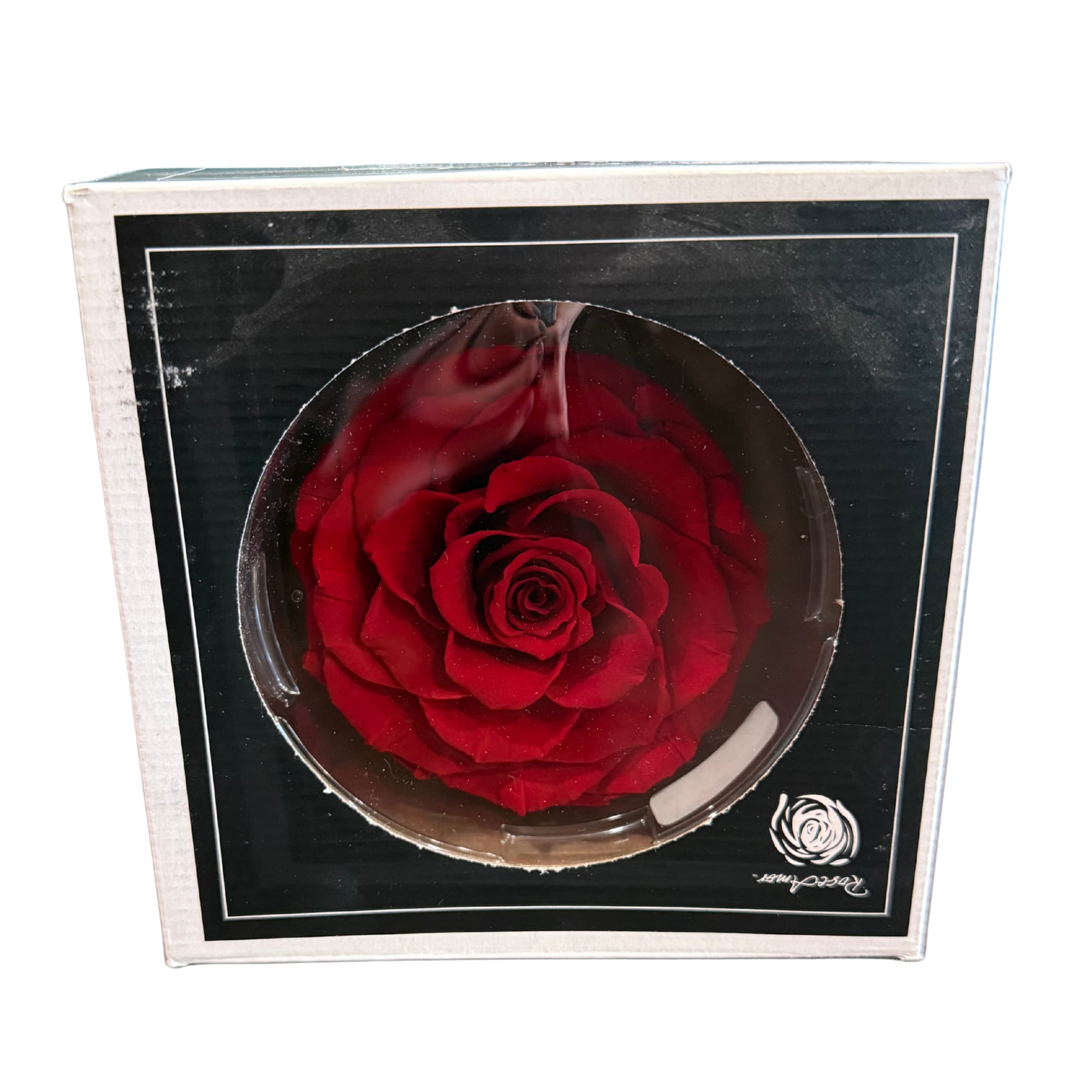 Preserved Red Rose  - Beautifully preserved red rose!
