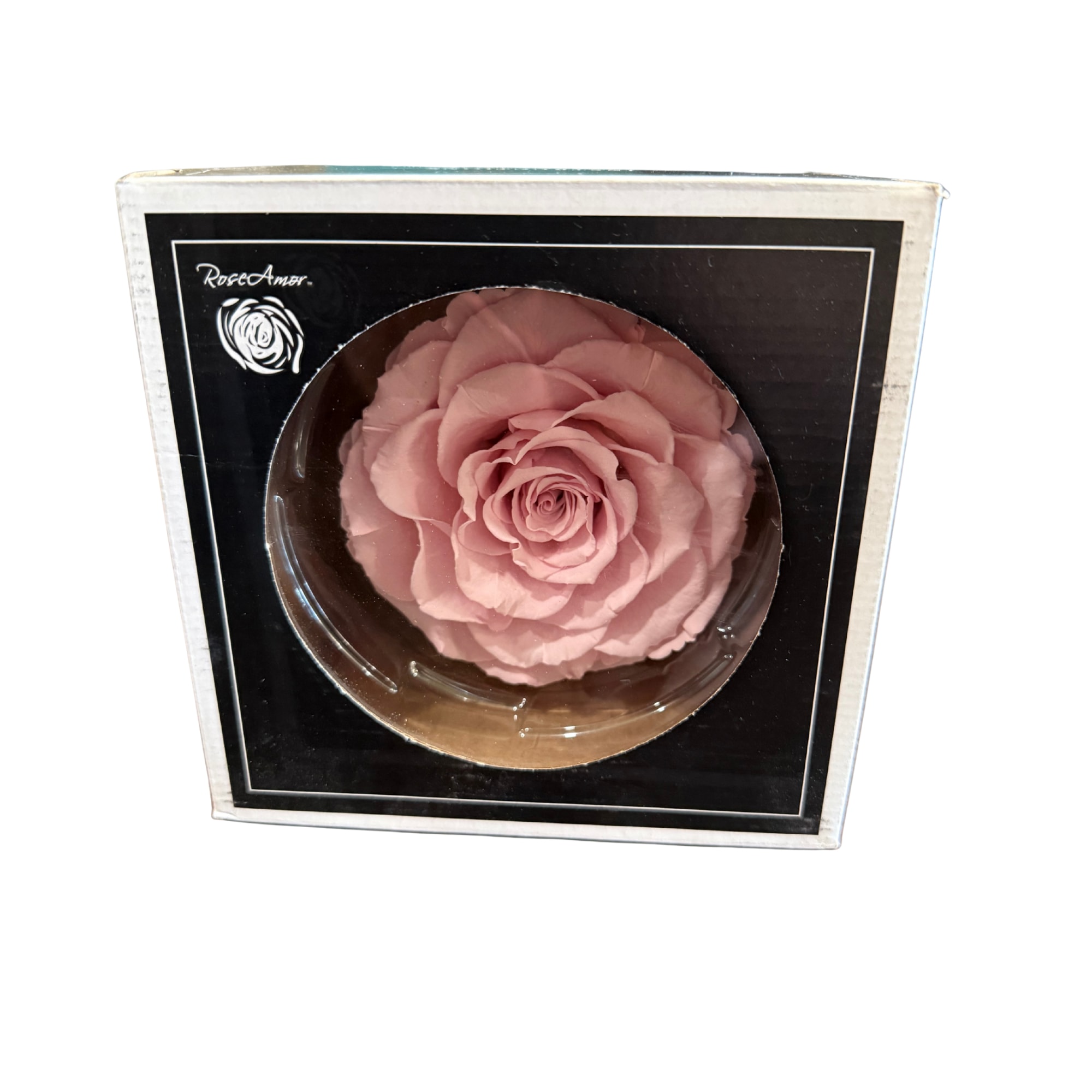 Preserved Pink Rose  - Beautifully preserved pink roseb