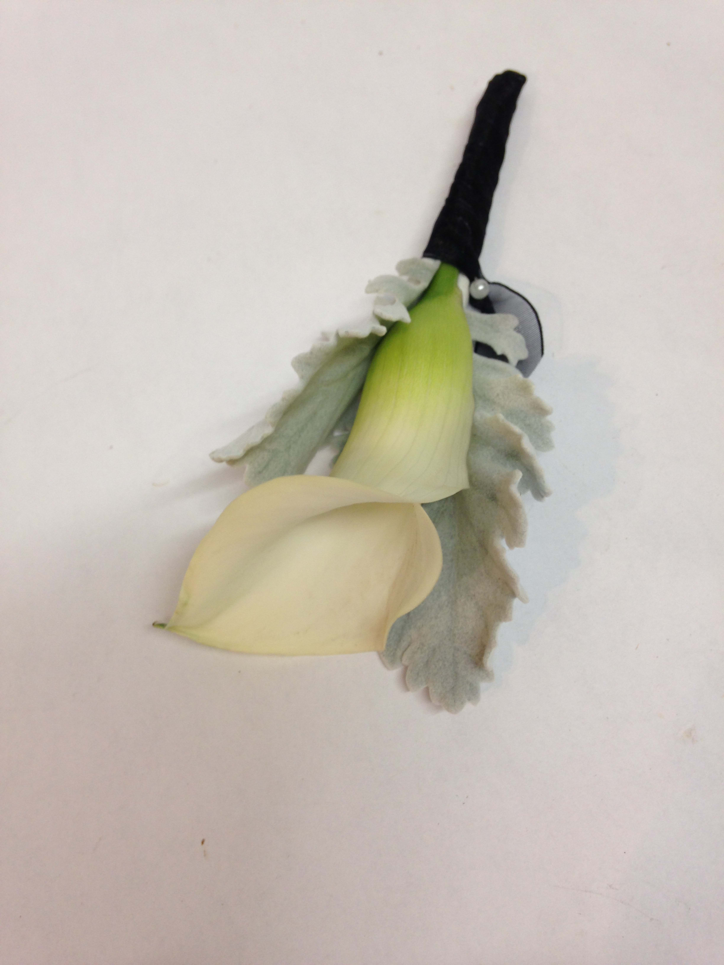 White calla lily boutonniere with gray foliage and black ribbon wrap